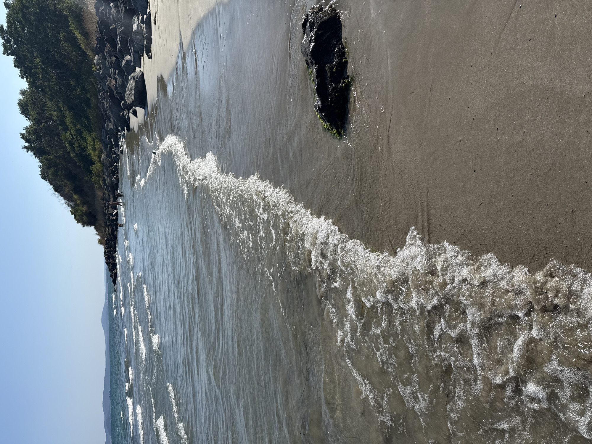 The image depicts a sandy beach with gentle waves lapping the shore. In the background, a rocky embankment covered with green vegetation slopes upwards, and a few distant hills are visible on the horizon under a clear blue sky. Several people and dogs can be seen in the shallow water near the rocky area, suggesting a public beach. A large dark rock, partially covered in green algae, rests in the shallow water closer to the foreground. The overall scene is characteristic of a sunny day at the coast. This is likely the northern beach area of Pomorie, Bulgaria, known for its sandy shores and rocky sections.