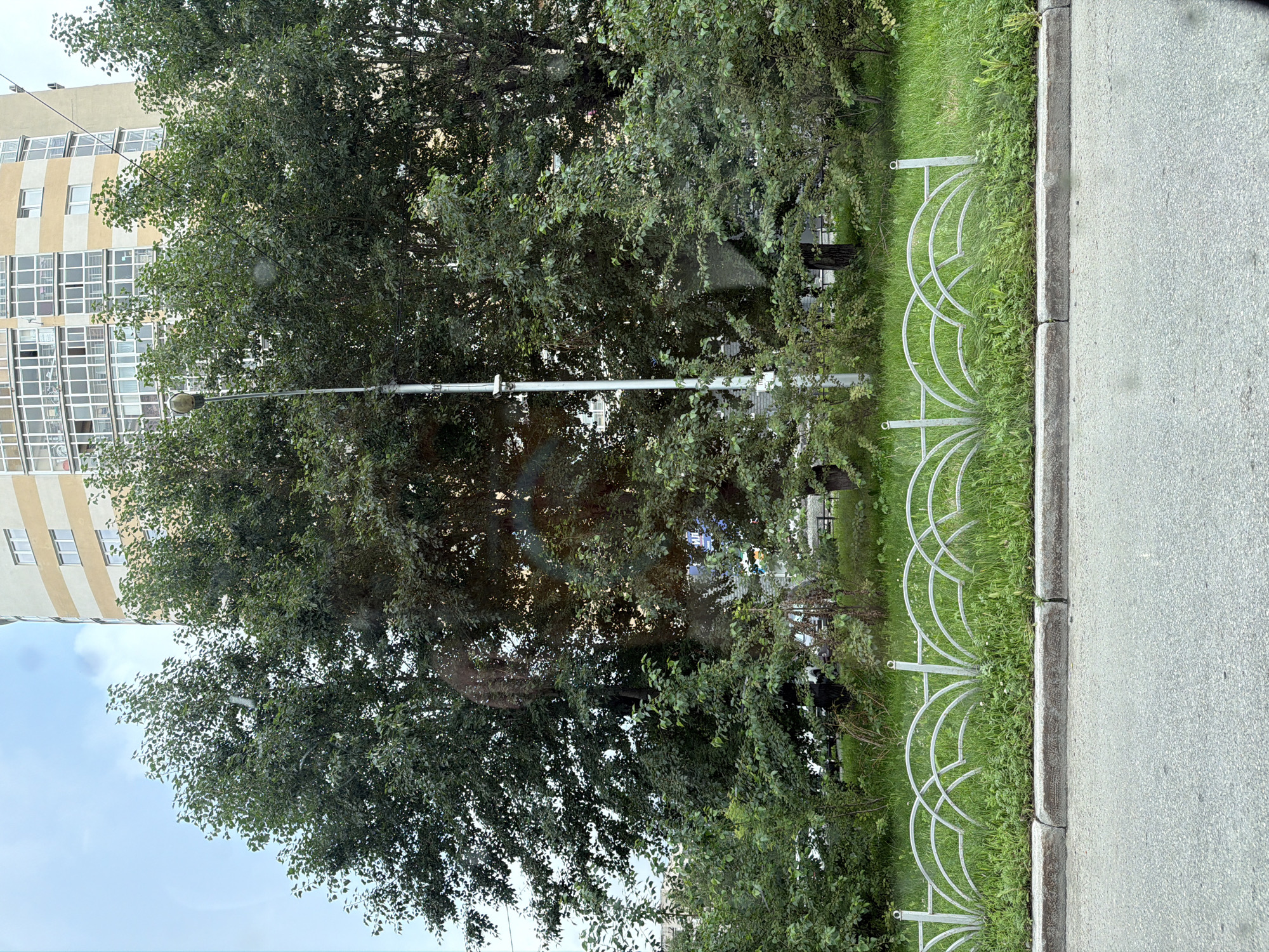 The image shows an exterior scene with a tall, cream-colored building with multiple windows on the left side. In front of the building, there is a large tree with lush green foliage. A street light is visible attached to a pole, partially obscured by the tree. A decorative metal fence with a repeating arch pattern runs along the edge of a grassy area next to a paved surface, likely a sidewalk or road. The weather appears to be overcast or the lighting is diffused, as there are no harsh shadows. The overall impression is a calm, everyday urban environment. There is no discernible text in the image.