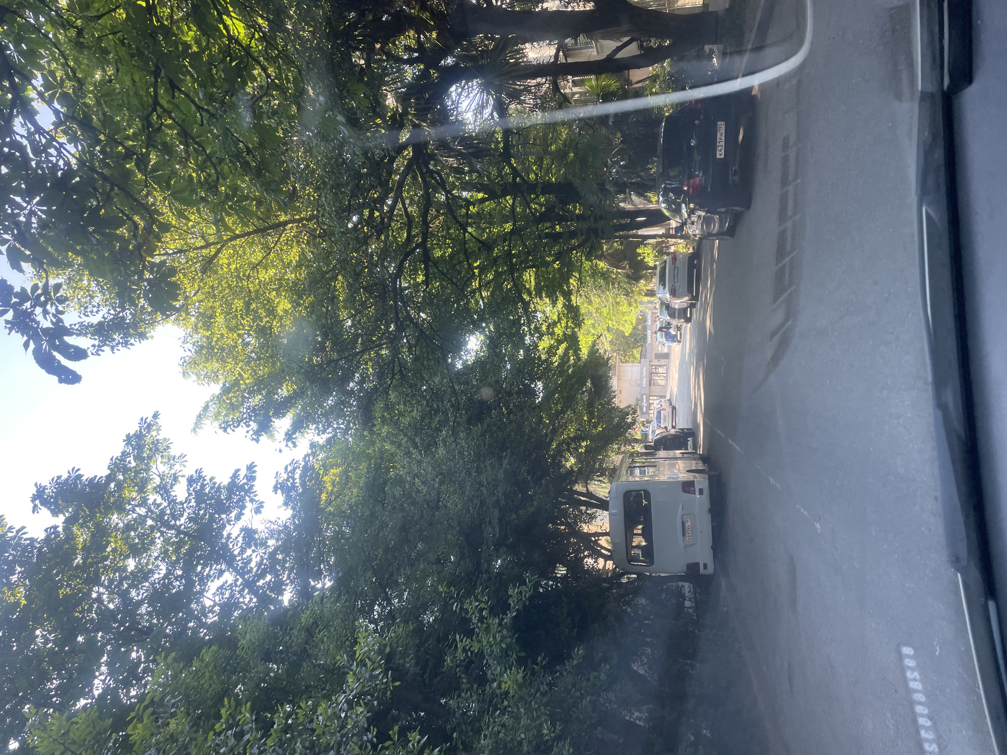 The image depicts a sunny, tree-lined street in Sochi, Russia, viewed from inside a vehicle. Lush green foliage from numerous trees dominates the left and upper portions of the frame, with bright sunlight filtering through the leaves, creating dappled light and some lens flare.
On the right side of the asphalt road, a black SUV is parked, displaying the Russian license plate "K431PH 193". Further down the street, a white van, likely a GAZelle minibus, is visible with the license plate "E697XM 193". Other vehicles are present in the distance. The road features a faint white dashed line.
Through the gaps in the trees and in the background, hints of urban buildings and storefronts are visible. Cyrillic text can be seen on a building sign in the distance, reading "КУРЫ ГРИЛЬ" (Chicken Grill), and possibly "ШАУРМА" (Shawarma) or "ВКУСНАЯ ЕДА" (Delicious Food). The bright conditions indicate it is daytime, likely a clear and sunny day.
A prominent reflection of the text "80S88880ZS" is visible on the lower right interior surface, possibly a dashboard or window frame, of the vehicle from which the photograph was taken. The dense canopy of trees suggests a well-established urban or suburban environment.