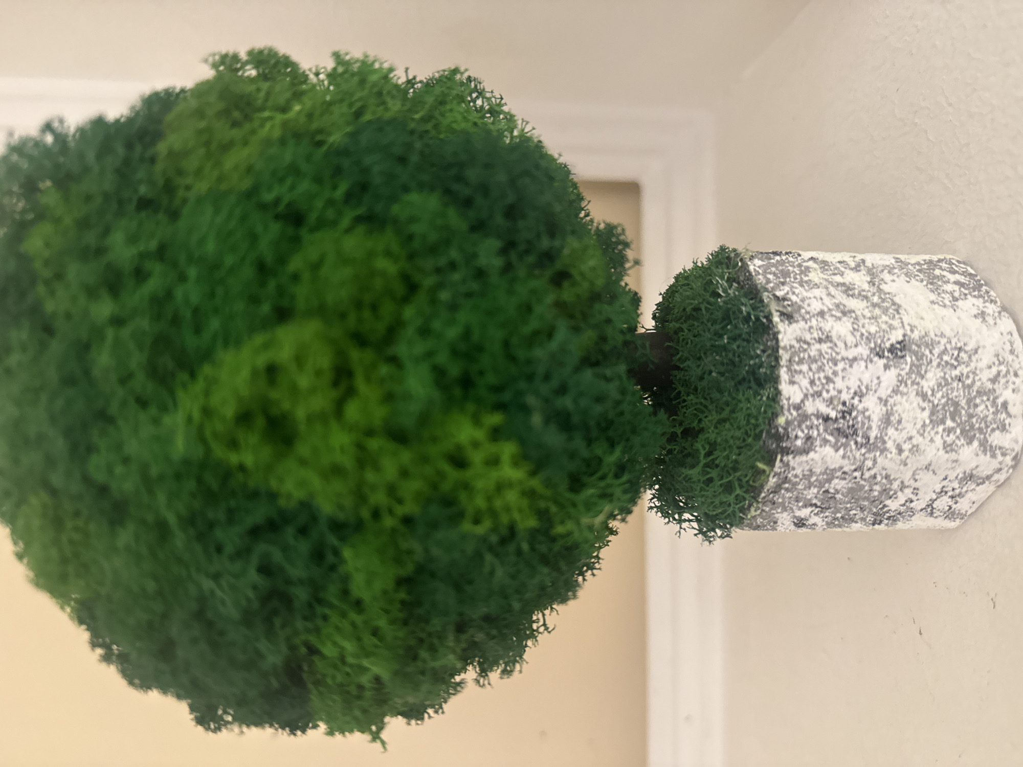 An indoor shot displays a green decorative moss topiary, set inside a pot, against a wall. The pot is light gray with a textured, mottled appearance. The topiary's moss is a vibrant green, forming a dense, rounded shape. The wall behind the topiary is a neutral shade. The topiary is positioned slightly off-center in the frame. There's no indication the image was taken in Votkinsk, Russia, or includes people.