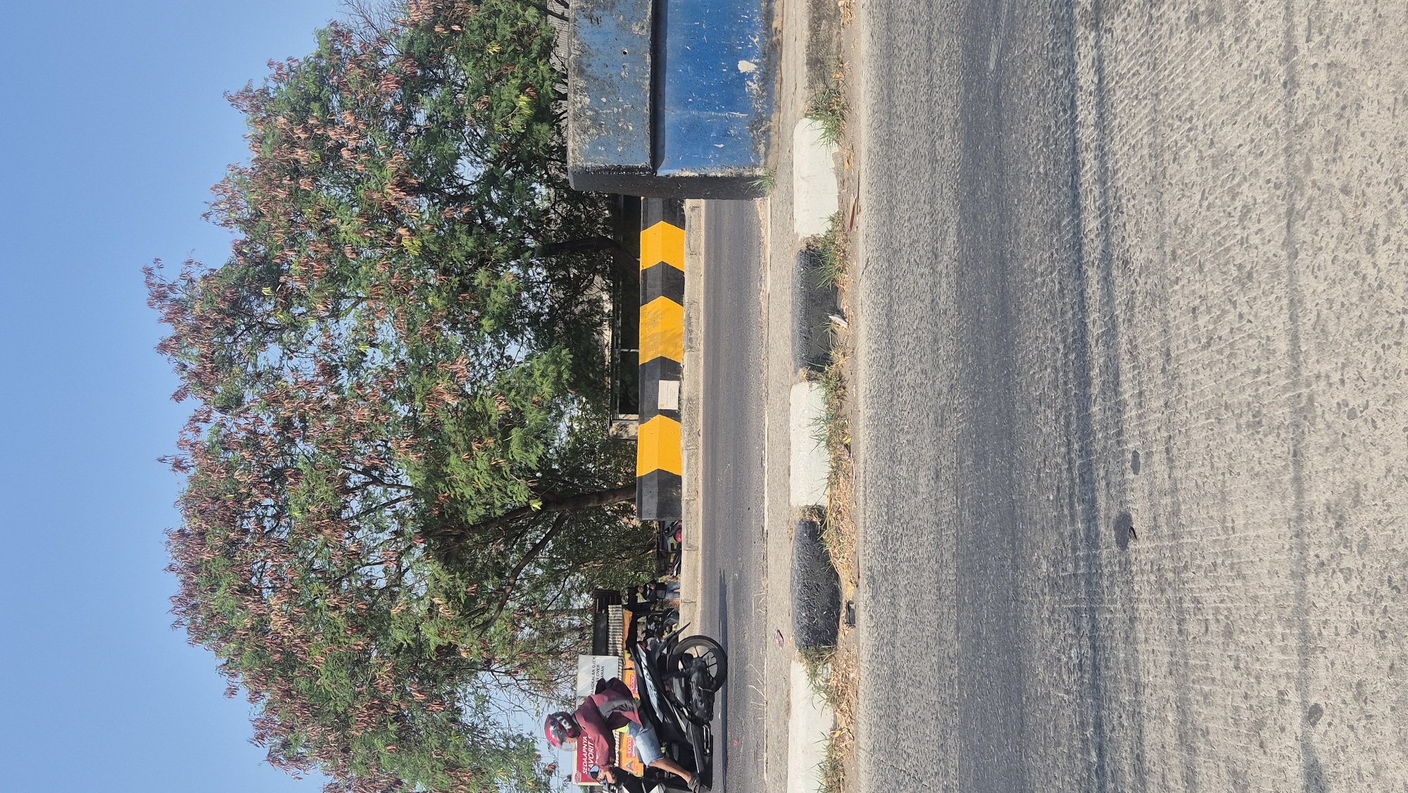 The image depicts a road scene in Karawang, Indonesia. A person is riding a black motorcycle with a red helmet and a red jacket, wearing blue shorts. The motorcycle is traveling on an asphalt road. To the right of the road, there is a concrete barrier painted blue and black with yellow chevron markings, indicating a traffic direction or hazard. Behind the barrier, two large trees with green leaves and brown seed pods are visible. The sky is clear and blue. In the background, there are some low buildings and structures, possibly shops or houses. The foreground shows the textured surface of the road. The overall scene appears to be an outdoor daytime environment on a sunny day.