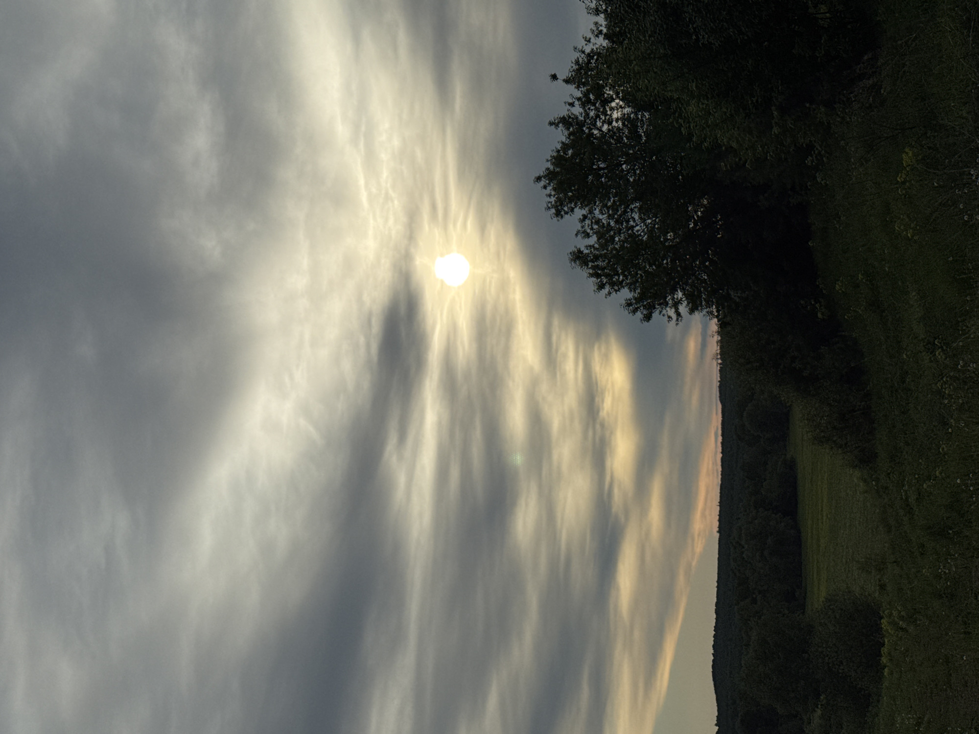 The image shows a rural landscape at sunset near Nizhnyaya Gar', Russia. The sky is filled with striated clouds, partially obscuring the setting sun. A dark tree is visible in the upper right corner of the frame. A field and a line of trees are visible in the lower right, indicating a forested area adjacent to a clearing. The photograph is oriented vertically.