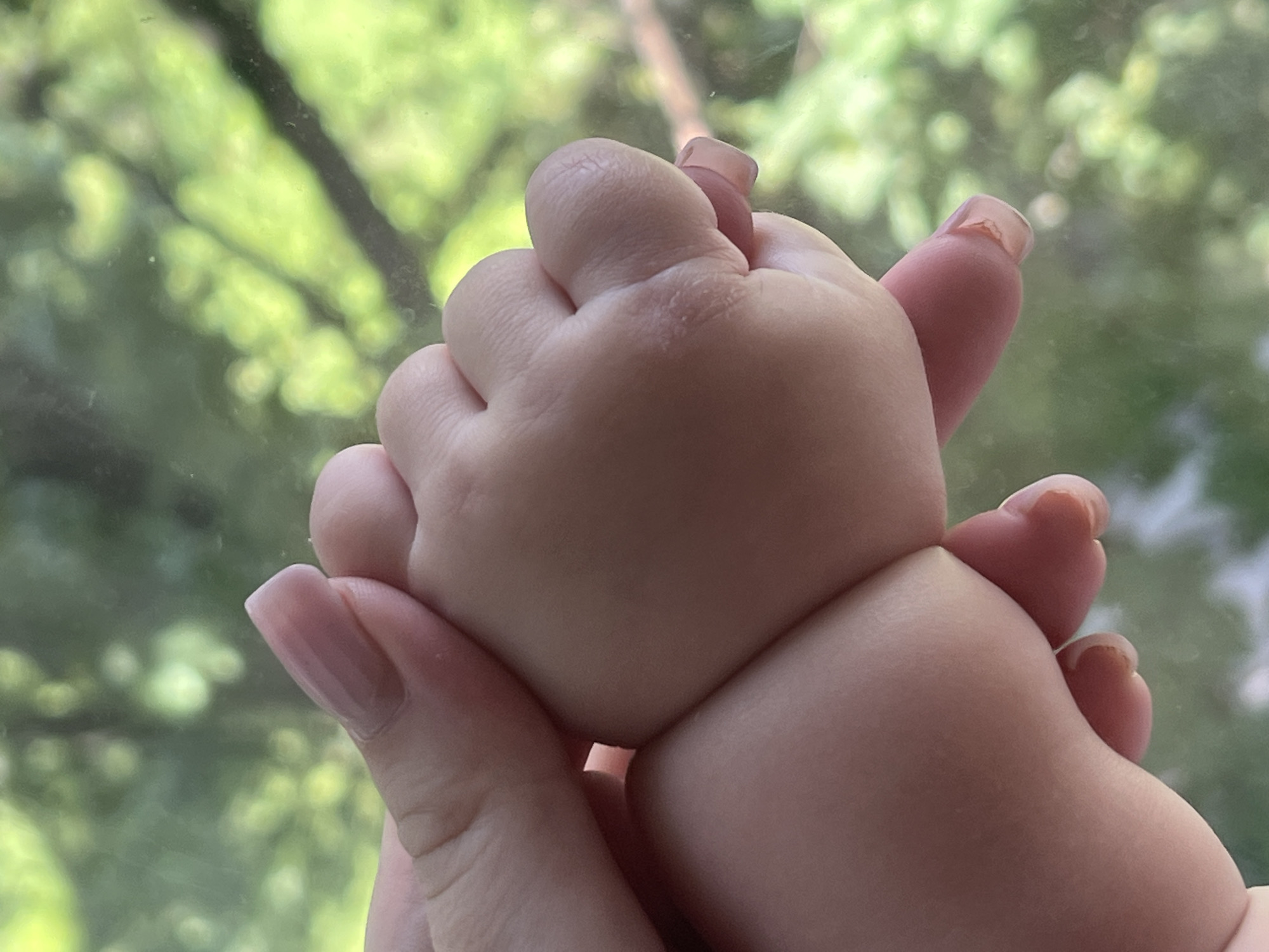 The image is a close-up, vertical, slightly angled shot of an adult's hand holding a baby's hand against a blurred green background that appears to be foliage, suggesting an outdoor or window view. The adult's hand, with manicured nails, is positioned on the left, gently cupping the baby's fist which is partially clenched. The baby's skin is plump and smooth, with visible finger creases. The focus is sharp on the hands, emphasizing their delicate textures and the protective grip of the adult. The lighting is soft and diffused, illuminating the skin tones and casting subtle shadows. No city or specific location information is present.