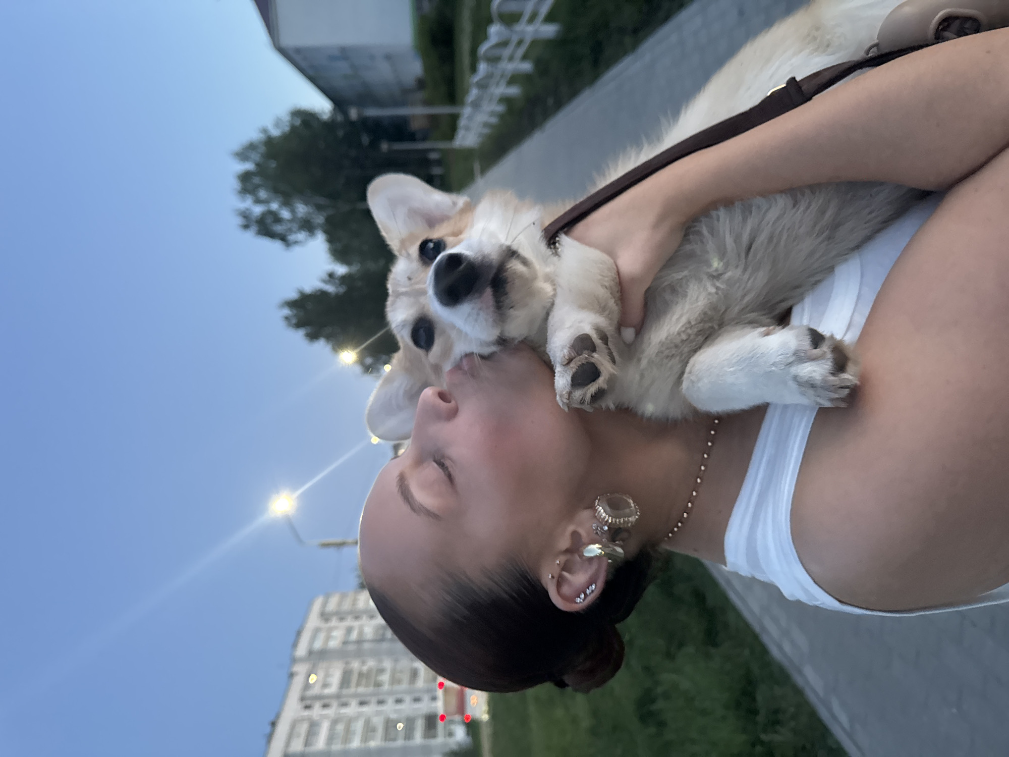 A woman is holding a corgi dog. The woman is wearing a white tank top, gold jewelry, and has her hair up in a bun. She appears to be kissing the dog. The location is Chaikovsky, Russia. There are apartment buildings, streetlights, and trees in the background. The scene appears to be near a sidewalk. The dog is wearing a brown harness.