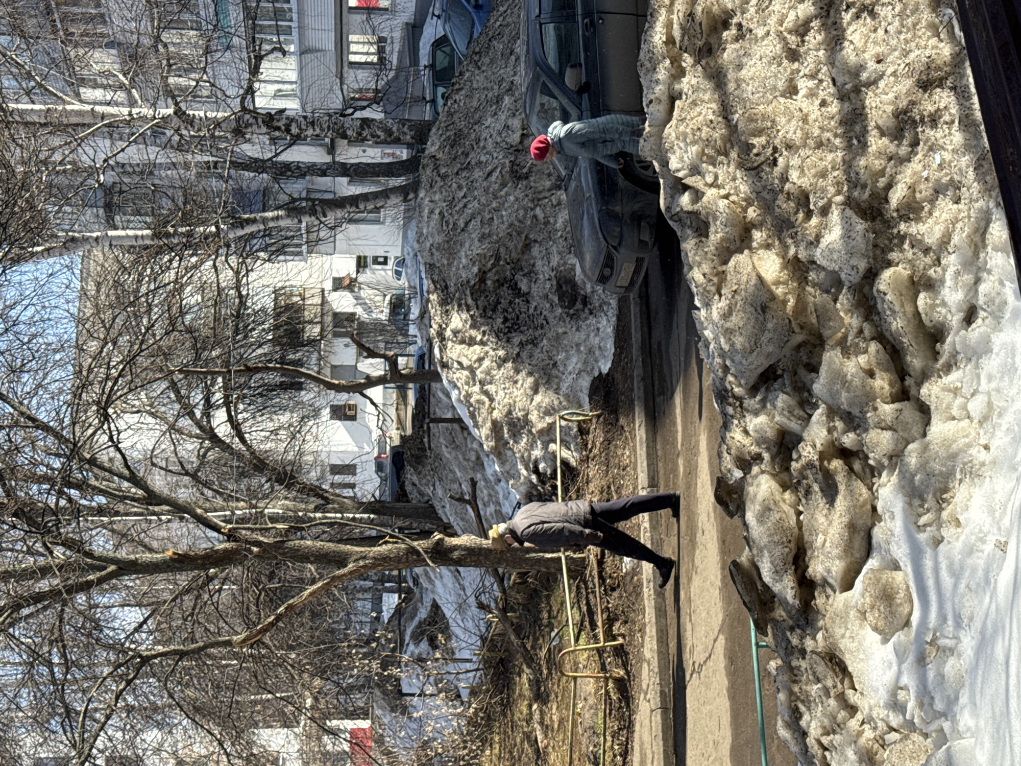 The image depicts an urban street scene in Chaikovsky, Russia, characterized by melting snow and bare trees, indicative of late winter or early spring conditions.
In the foreground, a large, irregularly shaped pile of dirty, melting snow and ice occupies the lower portion of the frame. The snow is discolored with brown and grey tones.
In the midground, a paved path runs horizontally. A male individual, wearing a dark jacket, dark trousers, and a light-colored hat, walks from left to right on this path. To his immediate left, a patch of muddy ground is visible, bordered by a low, rusted yellow-green metal fence. Further right on the pavement, a dark-colored sedan, possibly a Lada Priora with a partially visible license plate "x940xx 59", is parked. A female individual, wearing a light blue/grey puffer jacket and a red knit cap, stands next to the driver's side of the sedan, facing the vehicle. Behind the sedan and the woman is a substantial, towering mound of dirty, compacted snow. Other vehicles are partially visible parked beyond this snow mound. Bare deciduous trees are interspersed throughout the midground.
The background features several multi-story residential apartment buildings, predominantly light-colored (white or pale grey), with visible windows and balconies. These buildings are partially obscured by the dense network of bare tree branches. The upper portion of the frame shows a clear blue sky.