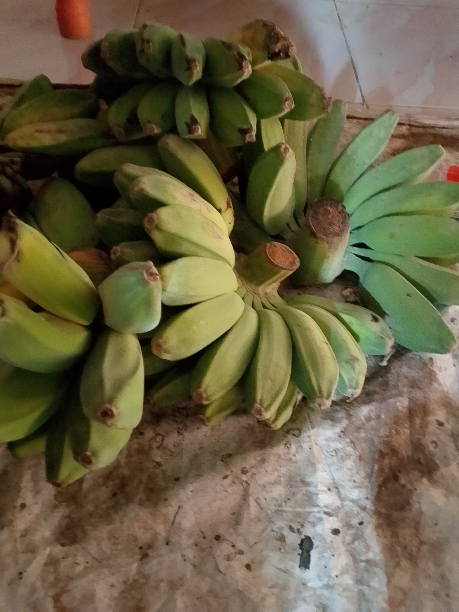 The image shows a close-up view of several bunches of green bananas on a rough, textured surface. The bananas are in various stages of ripeness, with some appearing a bright green and others showing hints of yellow. The lighting is soft, casting subtle shadows. The background is blurred, but appears to be a light-colored wall and possibly a piece of orange fruit at the top left. There are no people or animals visible in the image. The scene is likely indoors, given the presence of a wall and the overall lighting conditions. The location is not identifiable from the image alone.