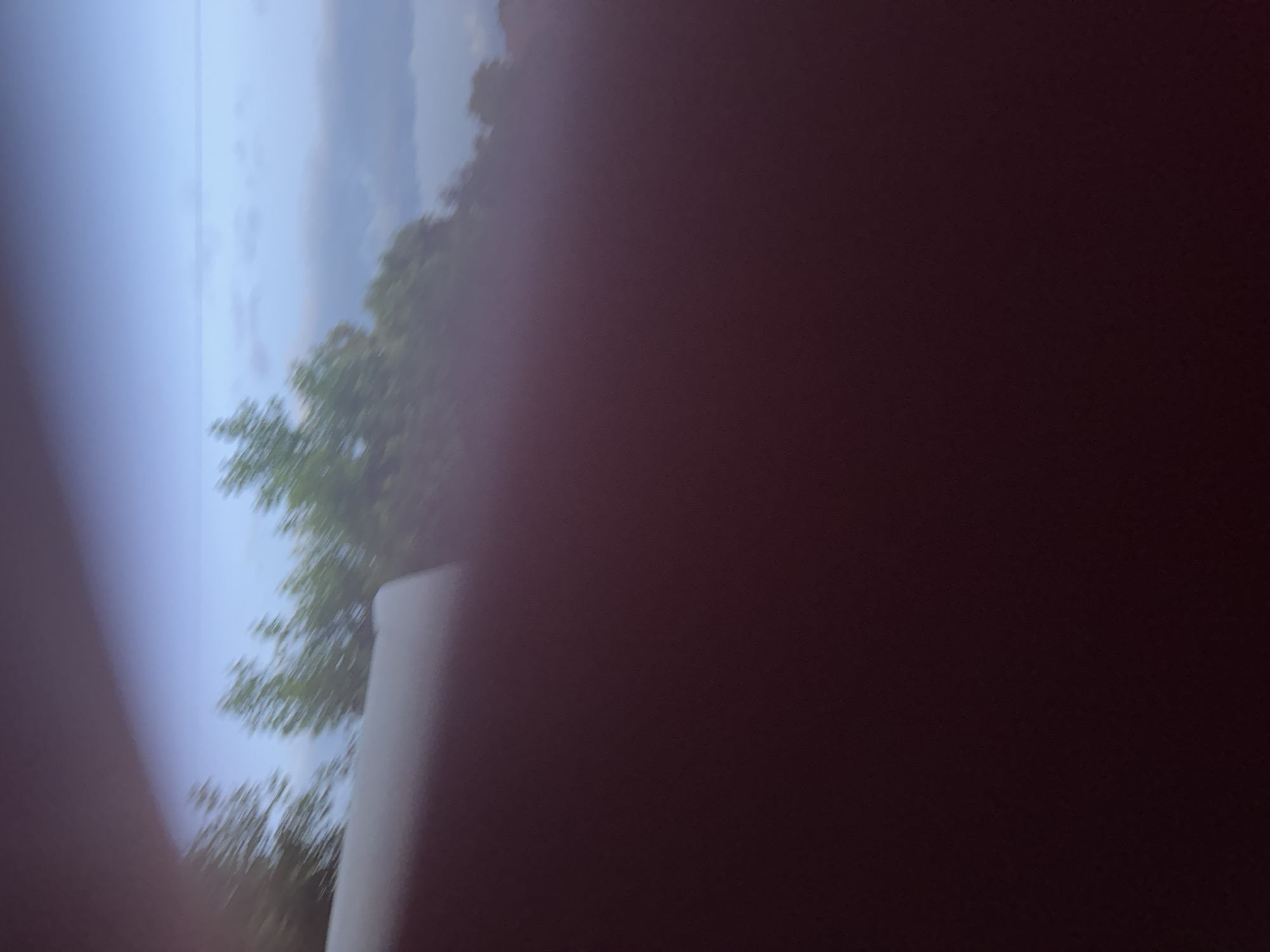 A blurry, handheld, close-up shot shows a dark, reddish-brown foreground, possibly a person's clothing or a surface, taking up the majority of the frame. In the upper portion of the image, a pale blue sky is visible with faint cloud formations. A line of blurred green trees runs horizontally across the middle of the frame, suggesting an outdoor environment. The lighting appears dim, possibly indicating dawn, dusk, or an overcast day. There are no identifiable landmarks or specific details that would allow for precise location within Гожули, Ukraine. The image's blurriness and lack of distinct features make it difficult to ascertain the exact subject matter or context.