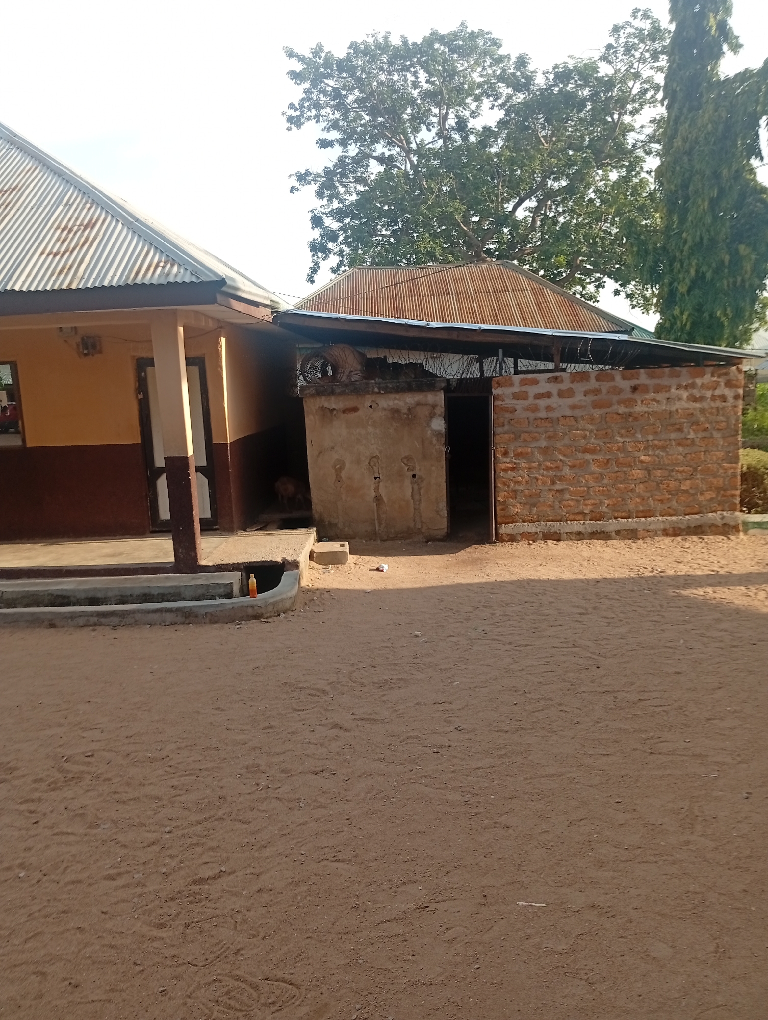The image depicts a building in Jalingo, Nigeria, with a sandy ground in the foreground and trees in the background. The building appears to be made of concrete and brick, with a corrugated iron roof. There is an open doorway leading into a dark interior, and a dog can be seen inside. A water channel runs along the front of the building, and a plastic bottle is visible near it. The scene suggests a simple, possibly rural, setting within Jalingo.