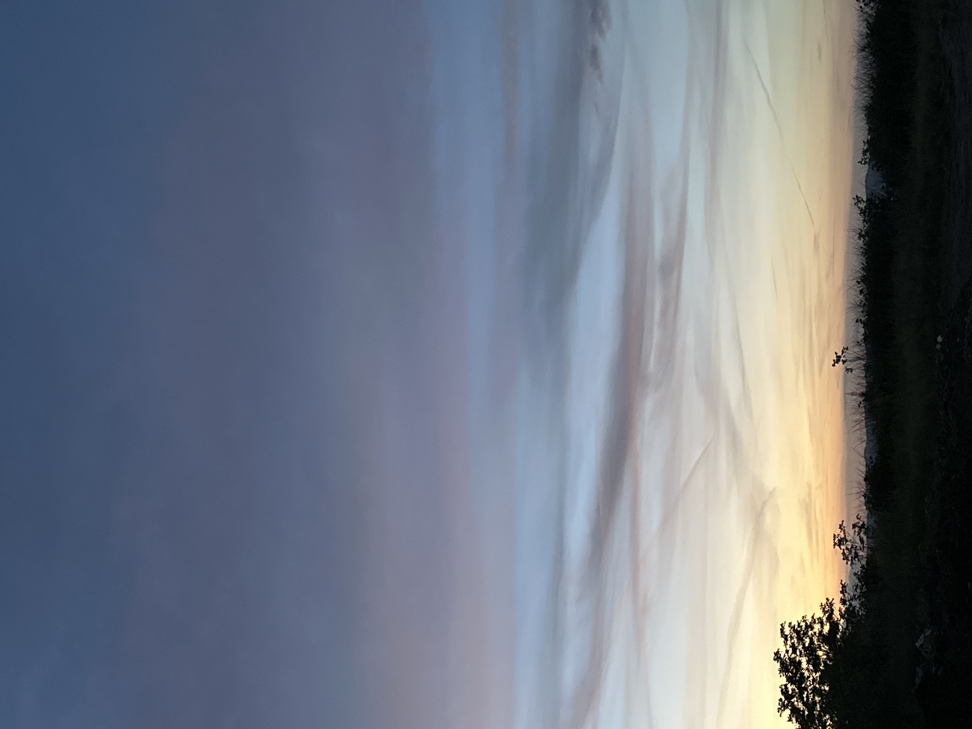 The image depicts a sky at dusk or dawn. The left portion of the image shows a deep blue sky, while the right portion transitions into a lighter mix of whites, yellows, and oranges, indicative of sunlight. Thin, wispy clouds are present throughout the lighter section of the sky, along with linear contrails. At the extreme right edge of the image, there is a dark, irregular mass of vegetation, possibly a treeline or dense shrubs. The scene is potentially located in Sofia, Bulgaria, but there are no identifying factors within the image to confirm its location. No people, specific objects, or actions are visible. The interaction is solely between the sky and the environment.