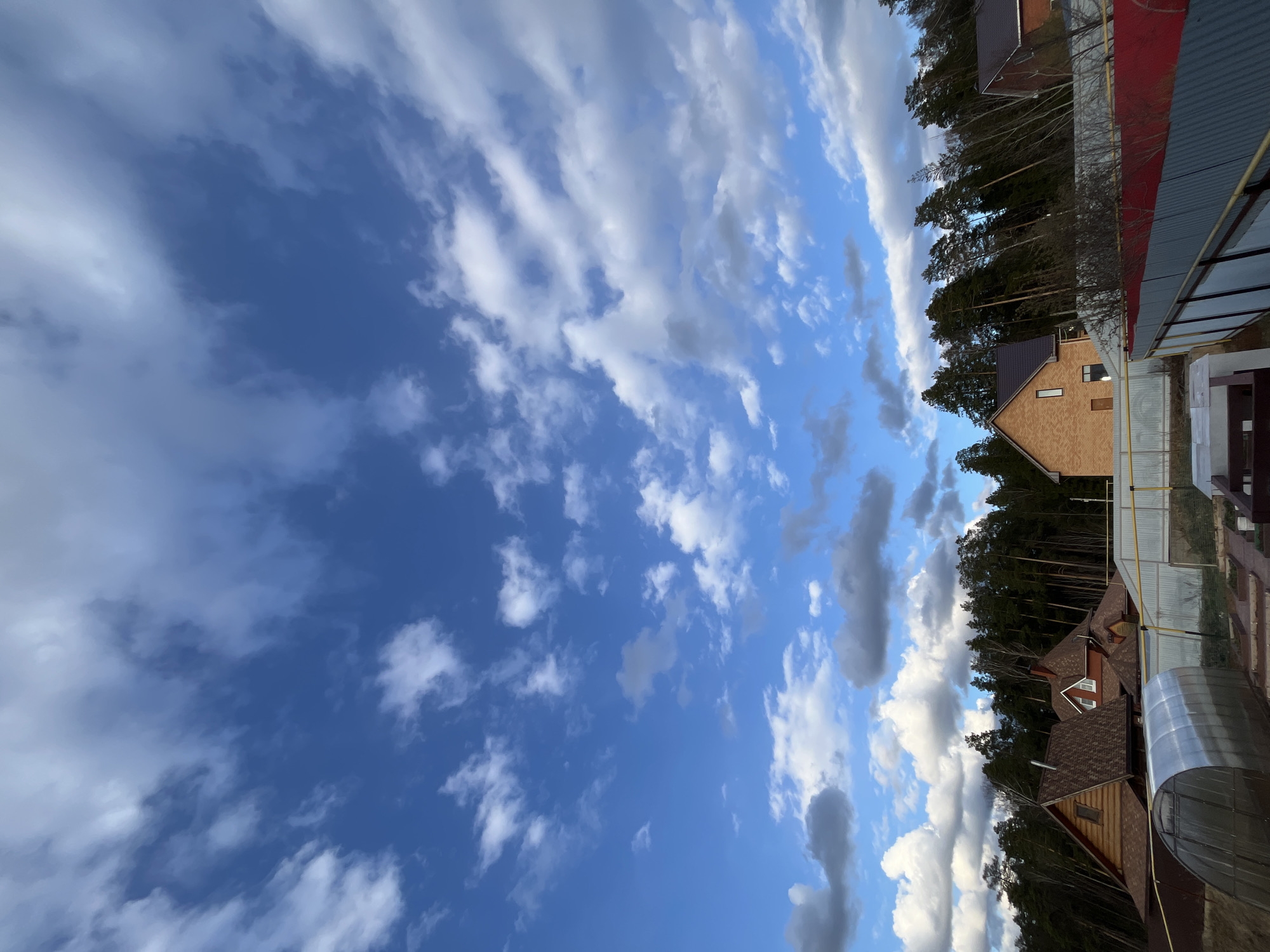 The image displays a vibrant rural or suburban landscape under a dynamic sky. The vast majority of the frame is dominated by a bright blue sky filled with numerous white and grey clouds. These clouds vary in shape and texture, ranging from wispy and streaky formations to more dense and puffy cumulus types, suggesting a partly cloudy day.
Along the right side of the frame, a dense line of tall, dark green coniferous trees, likely pines, forms a natural backdrop. Below the treeline, several residential buildings are partially visible. One prominent house features light brown, brick-like siding and a dark brown shingled roof, with a few visible windows. Another house to its right has a reddish-brown shingled roof. A yellow gas pipe is noticeable, running horizontally along a light-colored fence or structure in the middle-right section. Towards the bottom right, a transparent, dome-shaped structure, possibly a greenhouse or covered shed with a metallic frame, can be seen.
The scene depicts a bright, daytime setting, likely mid-morning or early afternoon, characterized by clear visibility and the interplay of sunlight and shadows on the clouds. There are no people or specific activities taking place, and no visible text. The architecture and natural elements are consistent with a residential area, potentially in a region like Chaikovsky, Russia.