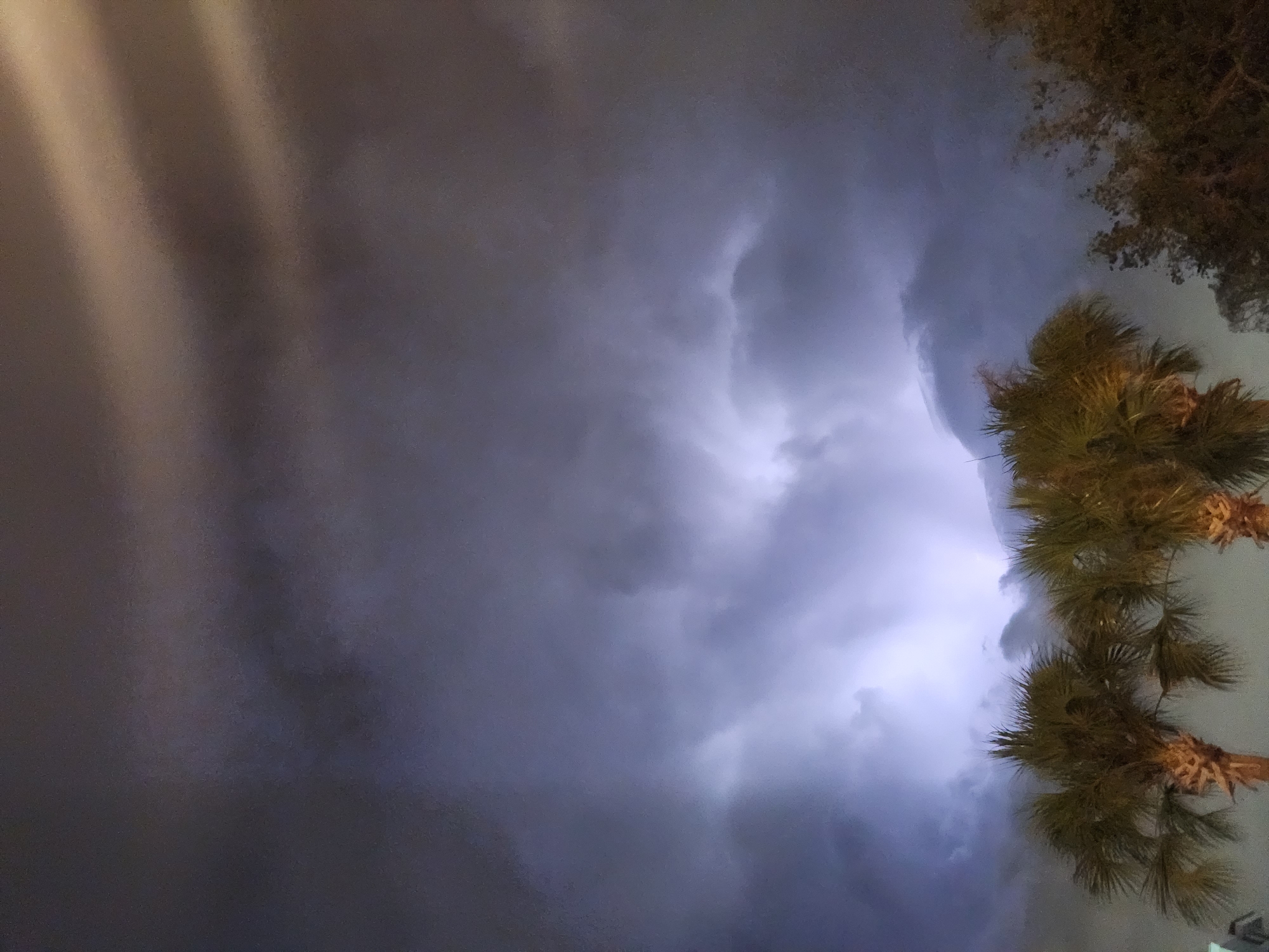 This is a nighttime photograph taken in Altamonte Springs, Florida, USA, capturing a dramatic sky with lightning illuminating dark, ominous storm clouds. The foreground features two prominent palm trees, their fronds appearing silhouetted against the turbulent sky. To the right, the tops of other trees are visible, their branches dark and indistinct. The lightning flash, a bright white-blue, casts an ethereal glow through the dense cloud formations, creating a sense of raw power and natural spectacle. The overall impression is one of an approaching or ongoing thunderstorm.