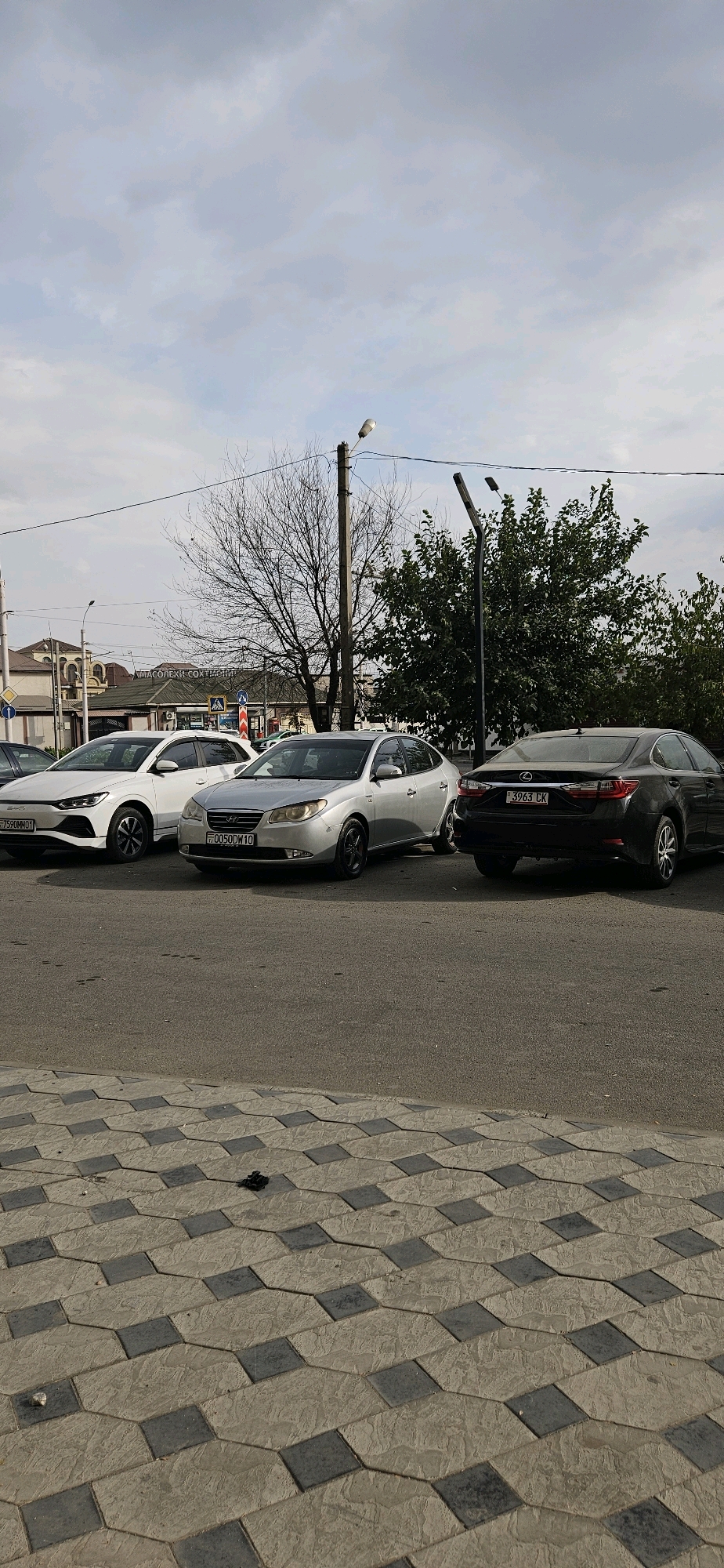 Three cars are parked on an asphalt road next to a patterned pavement in Dushanbe, Tajikistan. The first car on the left is a white SUV with license plate 7590MM01. To its right is a silver sedan with license plate 0050DW10. The third car, a black sedan with license plate 3963CK, is parked on the far right. In the background, a leafless tree stands near a utility pole with a streetlight. Further in the distance, buildings and lush green trees are visible under a cloudy sky. The scene appears to be a street or parking area in the city.