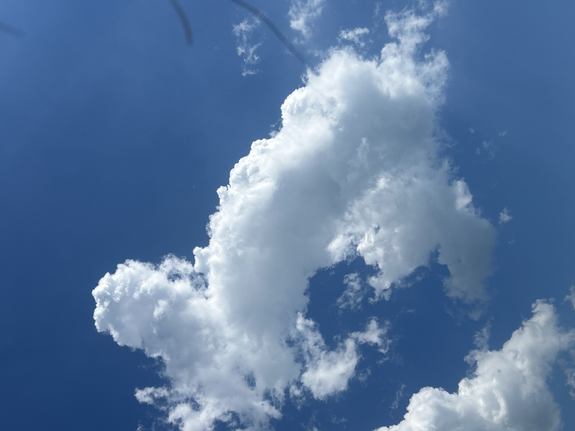 The image depicts a bright, clear blue sky with several large, fluffy white cumulus clouds. The sunlight suggests it is daytime, likely mid-morning or afternoon, given the intensity of the light and the shadows within the clouds. The clouds are scattered, with a particularly large and dominant cloud formation in the center-left of the frame, extending towards the right. Smaller clouds are visible throughout the sky. There are faint, dark, curved lines in the upper portion of the image, possibly caused by a dirty lens or smudge. There are also small, scattered pink or purple dots, which could be dust or lens flare artifacts. The scene is natural and appears to be an outdoor setting, most likely a landscape or aerial view, given the focus on the sky. No people, objects, text, or specific location cues are identifiable. The overall impression is one of a pleasant, sunny day.
