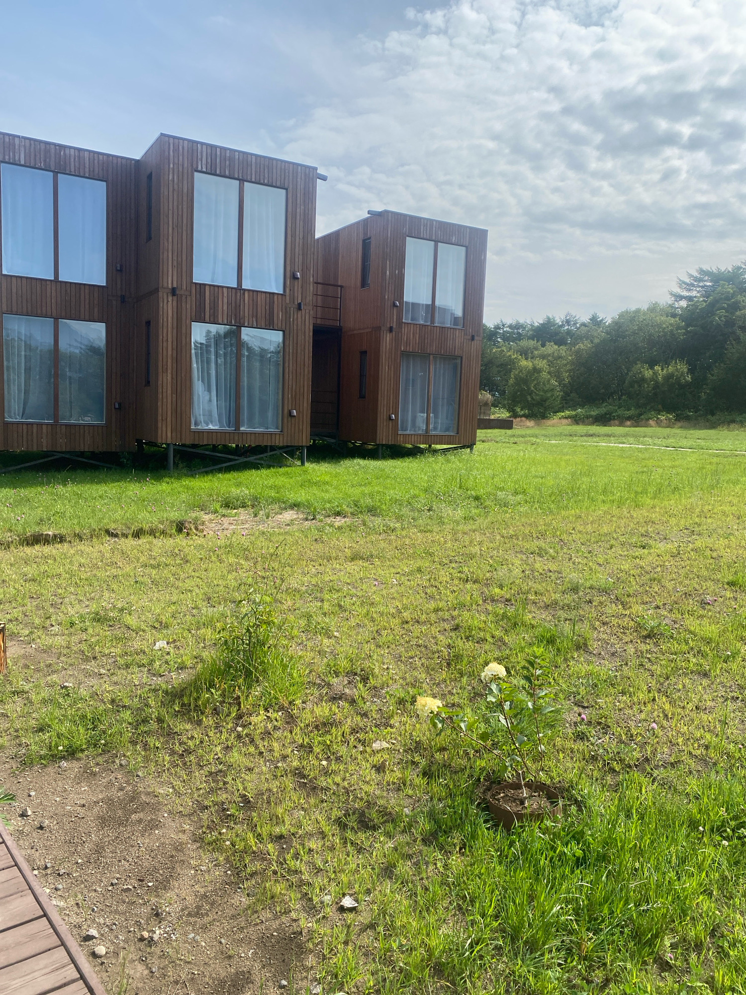The image displays a modern, multi-story building constructed from dark wooden planks. The building features large, floor-to-ceiling windows with sheer white curtains visible behind them. It is elevated on metal stilts. The foreground consists of a grassy field with some scattered dirt patches and small plants. In the lower right quadrant of the image, a small potted plant with white flowers is visible. The background shows a dense line of trees under a partly cloudy sky. The building appears to be situated in an open, rural or semi-rural area. The location is identified as Reydovo, Russia. There are no people or animals visible in the image.