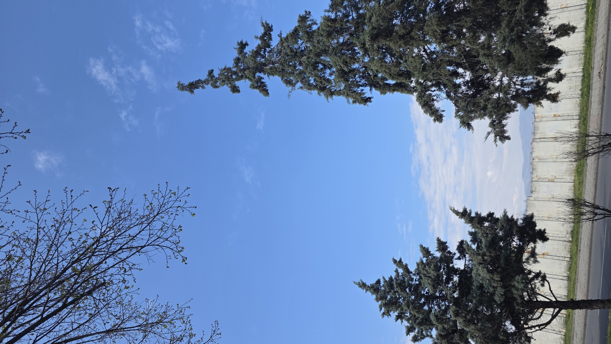 The image depicts a view of the sky in Blagoevgrad, Bulgaria. The sky is predominantly blue with scattered white clouds. In the lower left corner, bare branches of a deciduous tree with small green buds are visible. In the upper part of the image, there are coniferous trees with dense, dark green foliage. A section of a concrete wall and a paved road are seen to the right, suggesting an urban environment. In the distance, vague shapes of mountains can be perceived. There are no people in the frame.