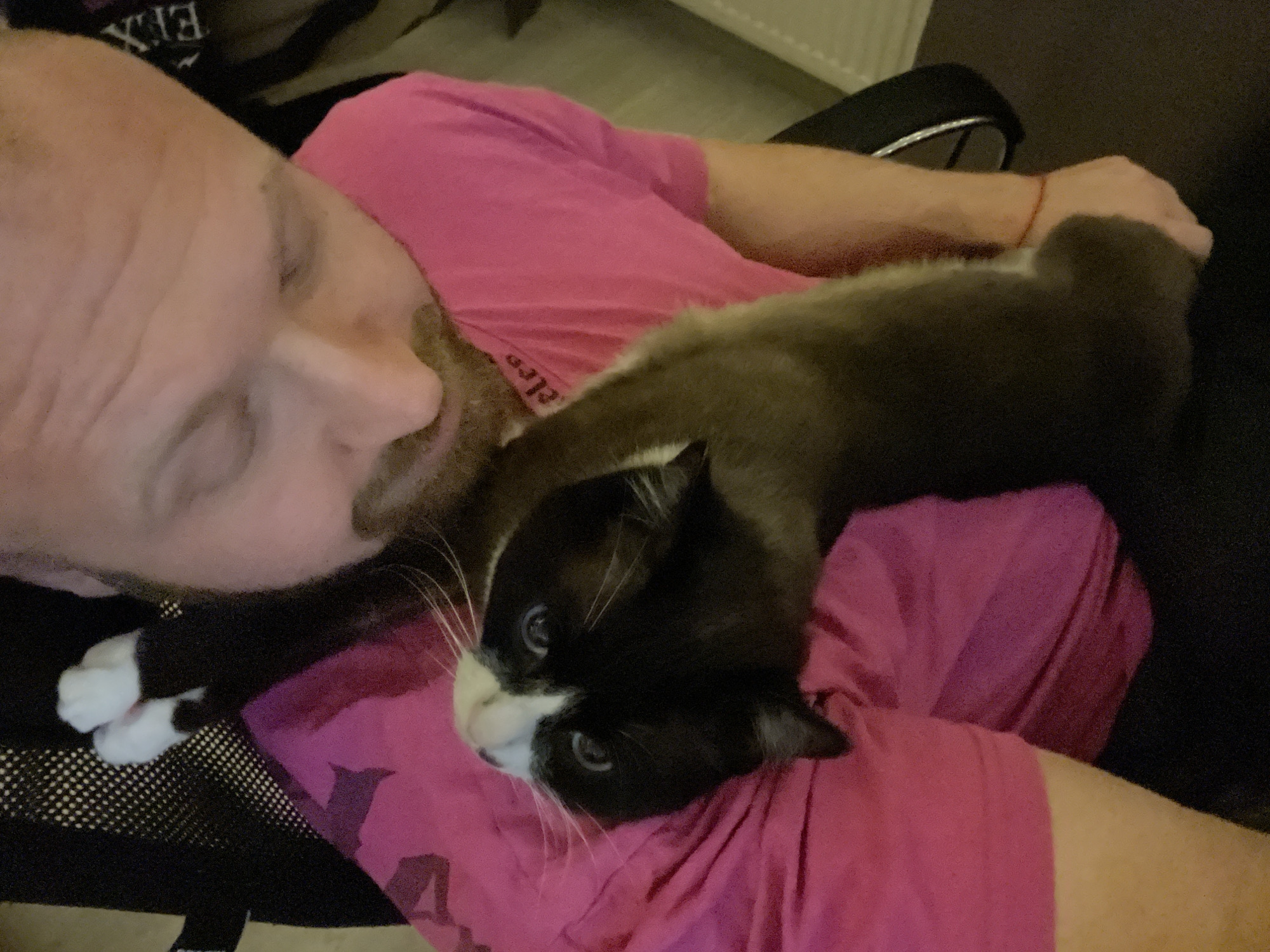 A man lies on his back, wearing a pink t-shirt, with a black and white cat resting on his chest. The man has a shaved head and a beard. The cat is facing forward with its eyes open. The scene is indoors and slightly dark. The city of Noviy, Russia, is not visible in the image.