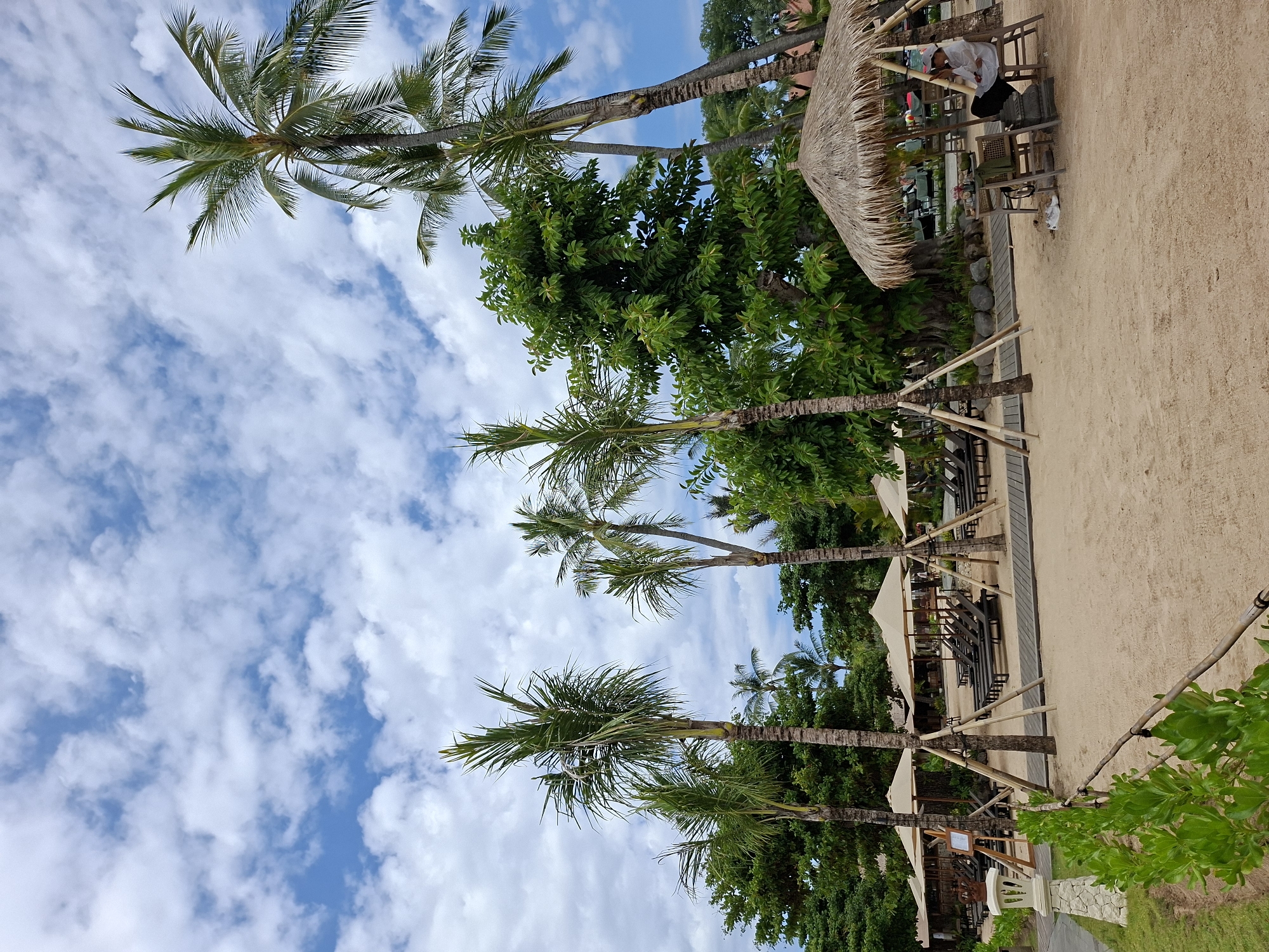 The image shows a beach scene in Kuta Selatan, Indonesia. The foreground features a sandy beach with a row of palm trees oriented vertically. Some palm trees appear to be supported by wooden beams. Behind the trees are beach umbrellas and structures that suggest a resort or beachside establishment. The backdrop is a sky filled with white clouds against a blue sky. In the upper right corner, there is a thatched-roof structure, possibly a gazebo or beach hut, with a person resting inside. Other trees are also present, with denser green foliage.