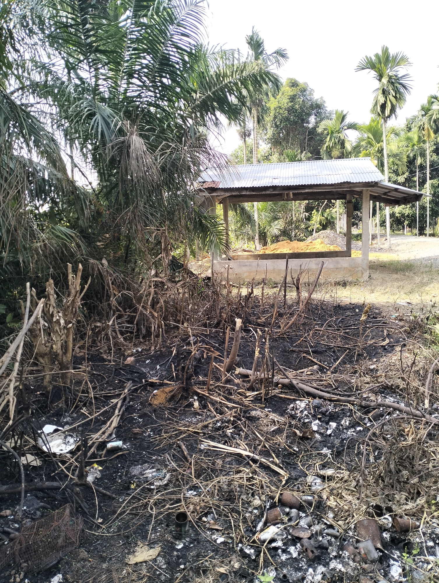 In Serdang Jaya, Indonesia, a photograph depicts a scene of environmental damage. The foreground is dominated by the charred remains of vegetation, with blackened earth and scattered branches. Several burnt cans and other refuse are visible amongst the debris, suggesting an area that has been cleared by fire and possibly abandoned. In the mid-ground, a simple open-sided shelter with a corrugated metal roof stands on concrete pillars. A large pile of yellowish sand is contained within the shelter. Behind the shelter, a dense arrangement of palm trees and other tropical foliage forms a backdrop, with a bright, overcast sky above. The overall impression is one of a rural or semi-rural setting impacted by fire and resource extraction or preparation.