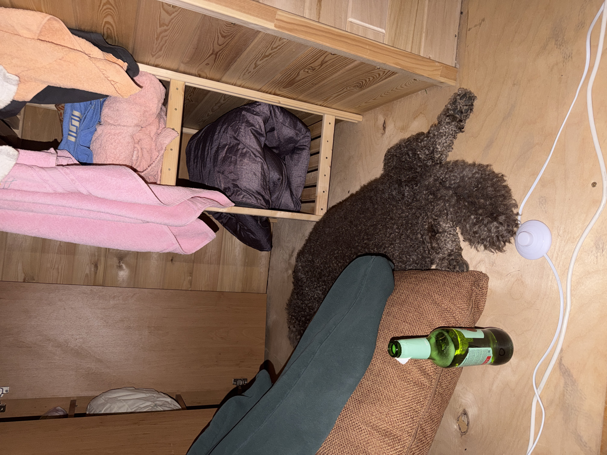 The image shows a cluttered interior space. Above, a wooden shelf holds folded textiles in various colors, including pink, blue, and orange, along with a bundled dark-colored sleeping bag. Below the shelf, a brown, curly-haired dog is positioned to the right, with its tail extended upwards. A green glass bottle lies horizontally on a brown cushion, partially obscured by a dark green garment. In the background, a white electrical cord is visible against the wooden paneling of the wall. The location is unknown.