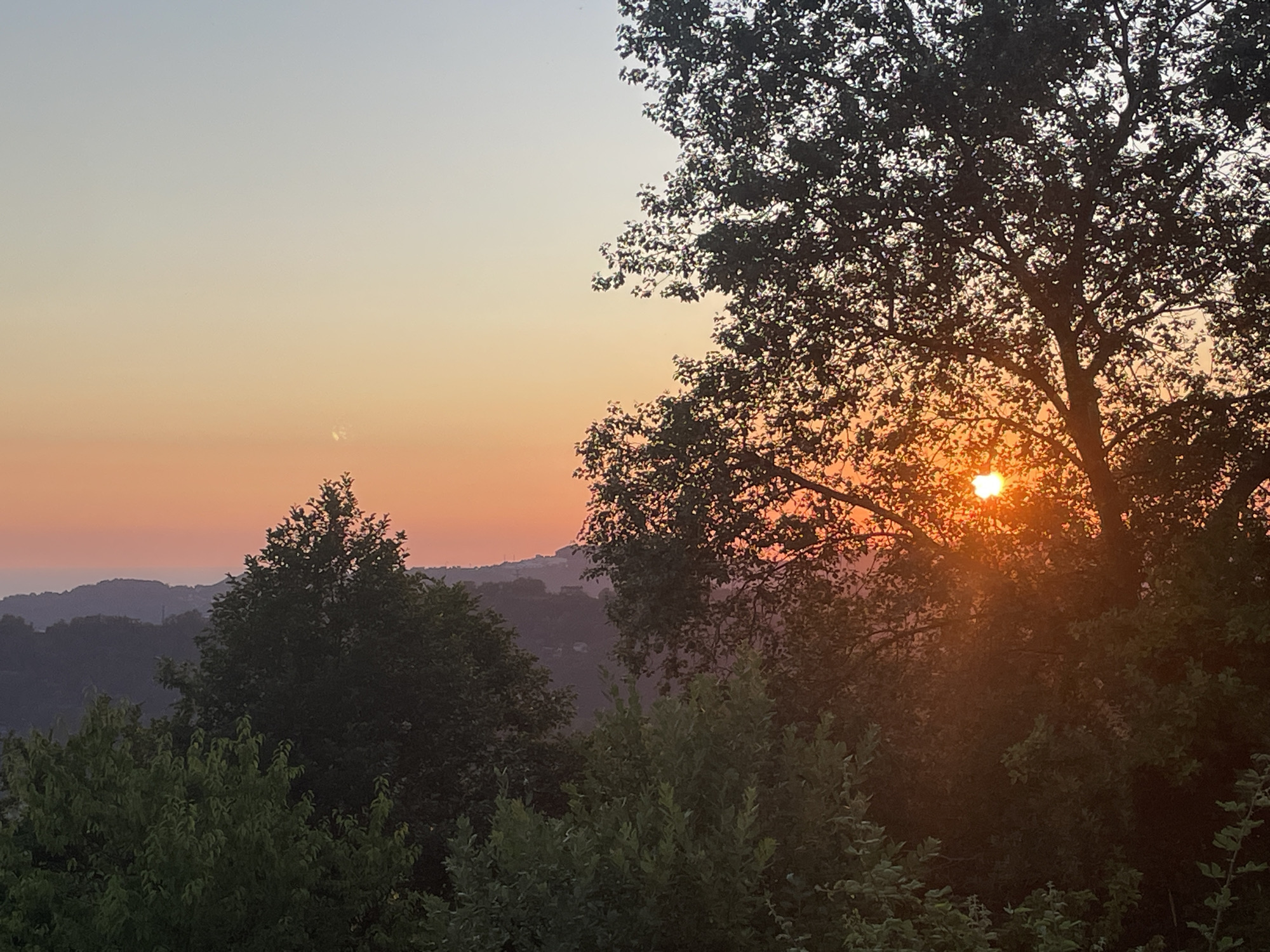 A picturesque sunset is captured in this image, with the sun partially obscured by the leaves and branches of a large tree in the foreground on the right. The sky displays a gradient of colors, transitioning from a pale blue at the top to a warm orange and pink near the horizon, indicating dusk. Rolling hills covered in dense green foliage stretch across the midground, fading into a hazy silhouette against the colorful sky. In the foreground, the lush greenery of various trees and bushes frames the scene, adding depth and texture. The overall atmosphere is serene and tranquil, evoking a sense of peace and natural beauty. The time of day is clearly sunset. There is no visible text in the image.