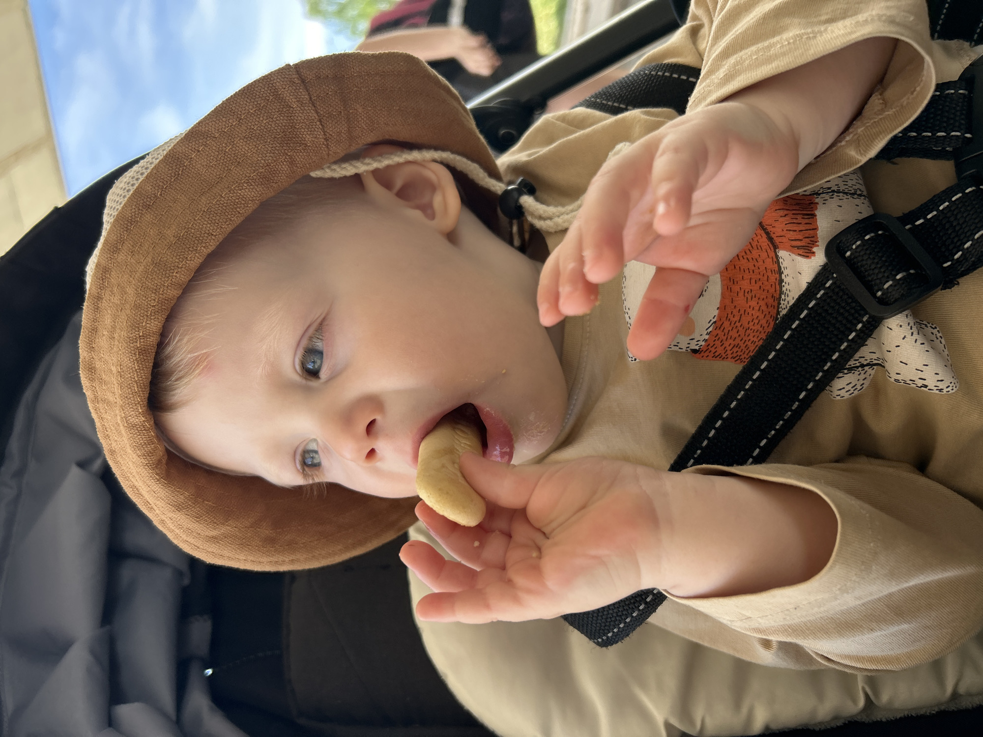 A fair-skinned toddler with blue eyes is eating a small, light-colored snack. The child is wearing a tan shirt with an orange and white fox design on the right side of the chest, a brown hat with a drawstring, and is secured in a black stroller or car seat with black straps. The child is holding the snack in their right hand, guiding it into their mouth. Part of another person can be seen in the background. The location is uncertain, and there is no information to indicate this image was taken in Chaikovsky, Russia. The environment appears to be outdoors, with a glimpse of blue sky visible.