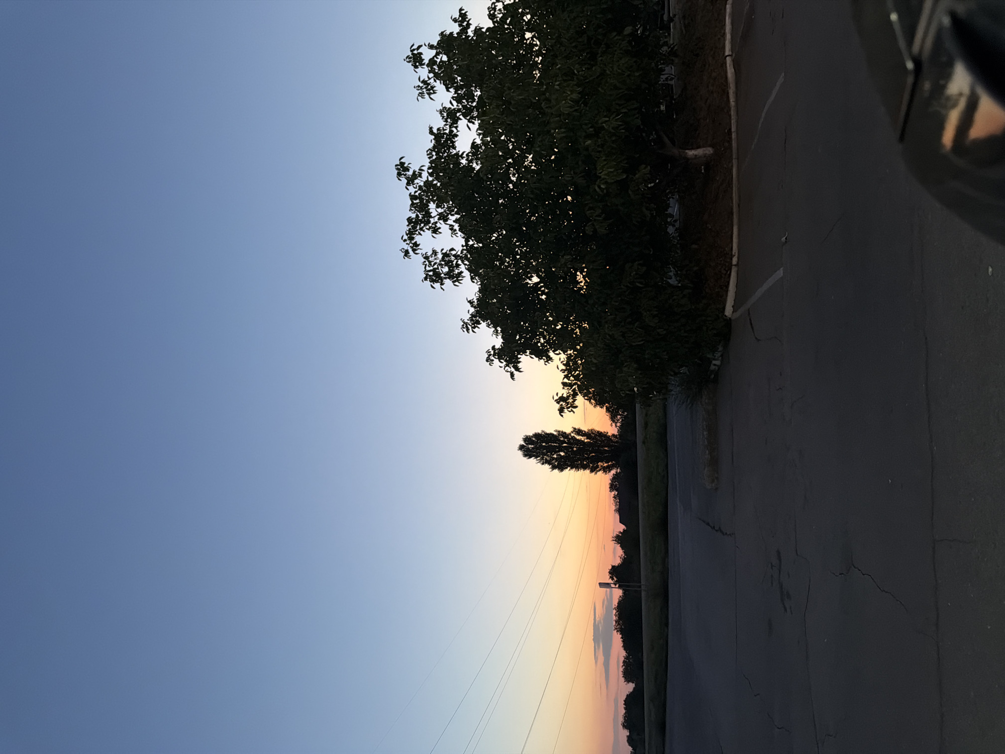 A vertical, low-angle shot captures a serene twilight scene in Orhei, Moldova. The clear sky transitions from a pale blue at the top to a warm gradient of orange and yellow near the horizon, hinting at a recent sunset. Several thin power lines stretch across the upper left portion of the frame, adding a geometric element to the natural landscape.
In the middle ground, a dark silhouette of a tall, slender tree stands against the vibrant sky, accompanied by a line of denser, darker trees and bushes forming the horizon. To the right, a large, leafy tree with dark green foliage dominates the foreground, its branches reaching upwards and partially obscuring the sunset colors.
The foreground features a cracked asphalt surface, likely a parking lot, with faint white lines indicating parking spaces. The overall impression is one of quiet tranquility, with the fading light casting a soft glow over the landscape. No people or animals are visible in the image.