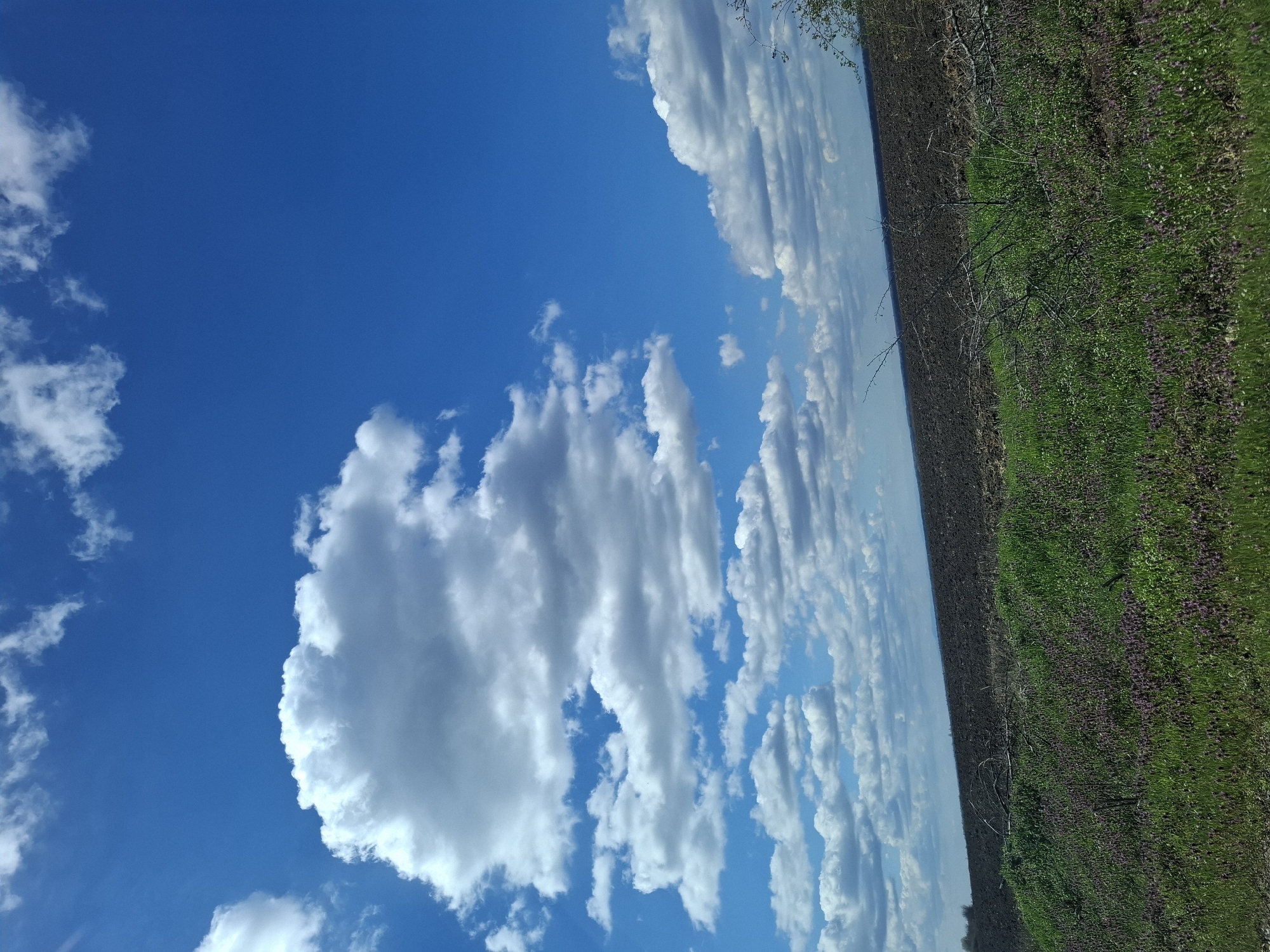 The image shows a landscape under a blue sky with white clouds. On the right, there is a green field with some purple flowers interspersed. Adjacent to the field is a strip of dark soil. The sky is predominantly blue with various white cloud formations. The image appears to be taken at an angle and rotated, with the landscape appearing vertical rather than horizontal. The location is Gramada, Bulgaria.