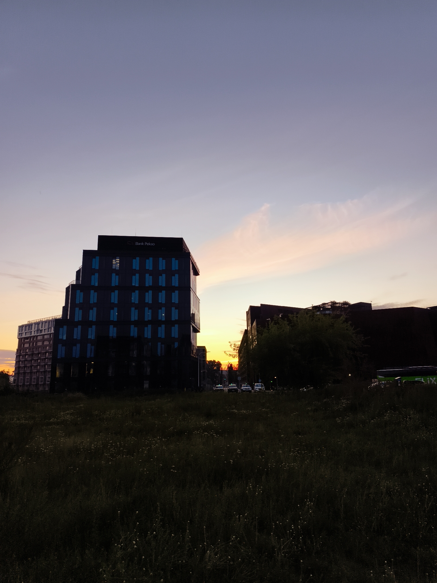 The image depicts a view of a cityscape at dusk in Gdańsk, Poland, near the Rondo Jana Pawła II interchange. In the foreground, a field of tall, dark grass and wildflowers is visible, illuminated by the fading daylight. Behind the field, several buildings are silhouetted against the colorful sky.
The most prominent structure is a dark, multi-story building with a stepped facade, featuring numerous rectangular windows with a blue tint. The text "Bank Pekao" is visible in white lettering at the top of this building. To its left, another building under construction or renovation is partially visible, characterized by its white exterior and a grid-like pattern of windows.
Further to the right, a larger, darker building with an angular roofline is prominent, partially obscured by lush green trees. A bright green bus with the logo "FLIXBUS" is parked on the right side of the road in front of this building. Several cars, including what appear to be taxis, are visible on a road running between the field and the buildings. The sky above is a gradient of purple, transitioning to soft pink and orange hues near the horizon, indicating the sunset. The overall scene is serene and captures the transition from day to night in an urban setting.
