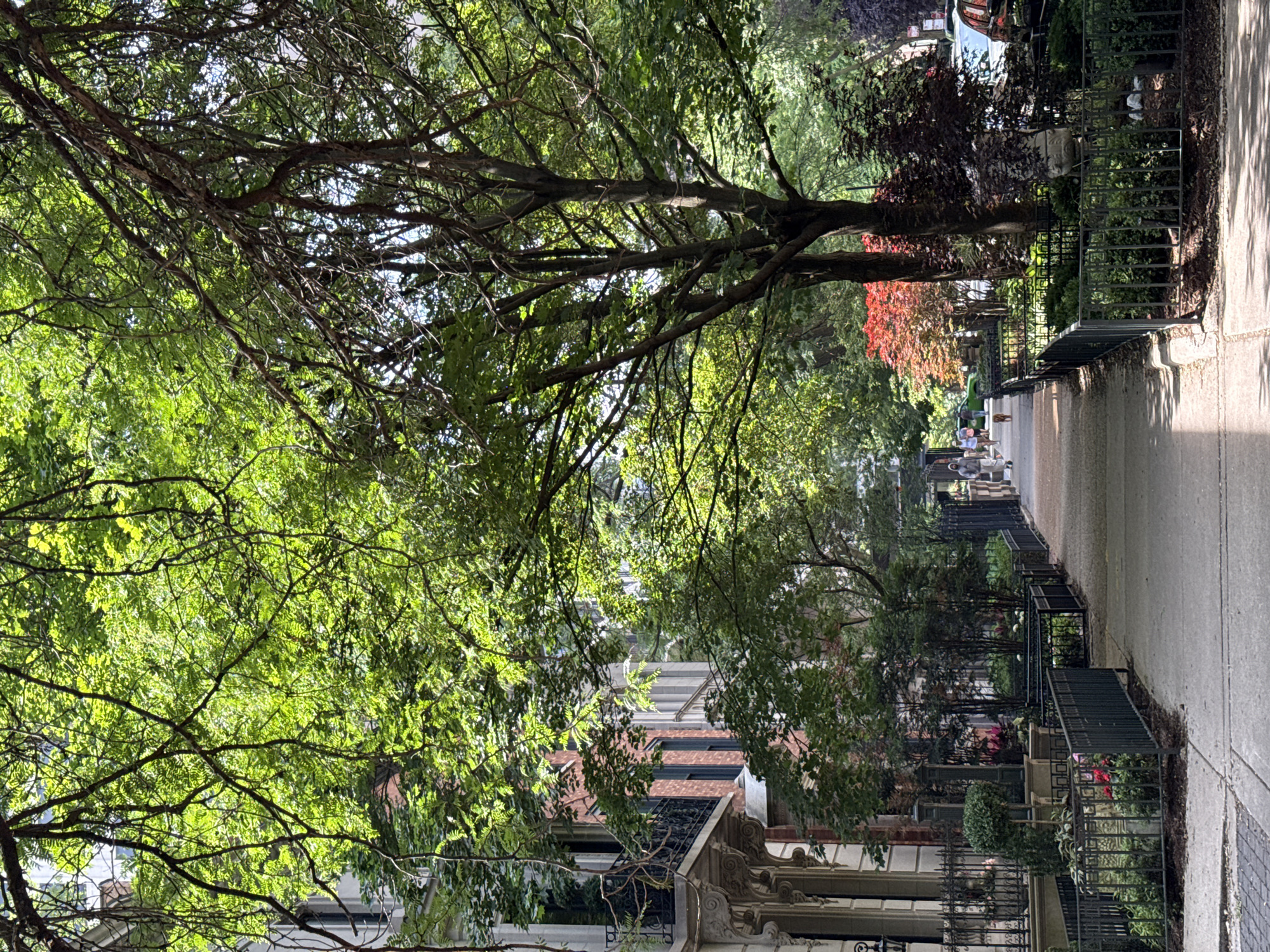 A tree-lined sidewalk in Chicago, United States of America, features a row of historic buildings on the left and lush greenery on the right. The sun casts dappled shadows on the sidewalk, which is populated by a few pedestrians walking in the distance. The buildings exhibit architectural details such as ornate balconies and decorative stonework, suggesting an older, established neighborhood. The trees, with their full canopies of green leaves, create a natural canopy over the sidewalk, filtering the sunlight and providing a sense of enclosure. Some of the trees display vibrant red foliage, adding a splash of color to the scene. The overall atmosphere is serene and idyllic, a tranquil urban oasis.