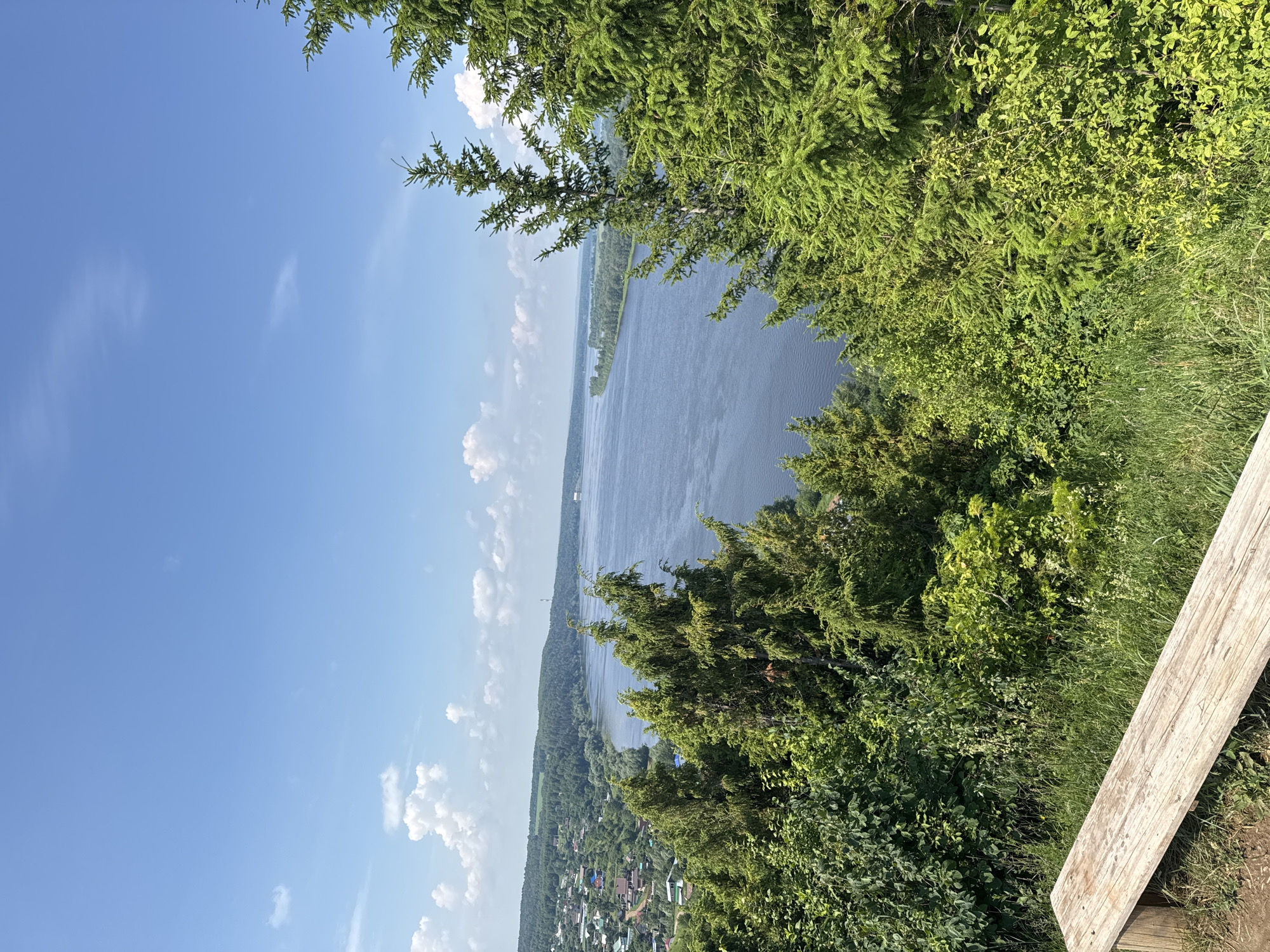A high-angle view captures a wide, dark blue river flowing through a lush green landscape under a bright blue sky with scattered white clouds. In the foreground, a weathered wooden bench sits on a grassy incline. Dense green trees, including spruces and other foliage, dominate the immediate foreground and frame the view of the river. Along the distant left bank of the river, a village with scattered houses is nestled amongst trees and hills. The river stretches towards the horizon, where it meets a treeline and hints of distant structures. The overall scene depicts a serene, natural landscape with a touch of human settlement.