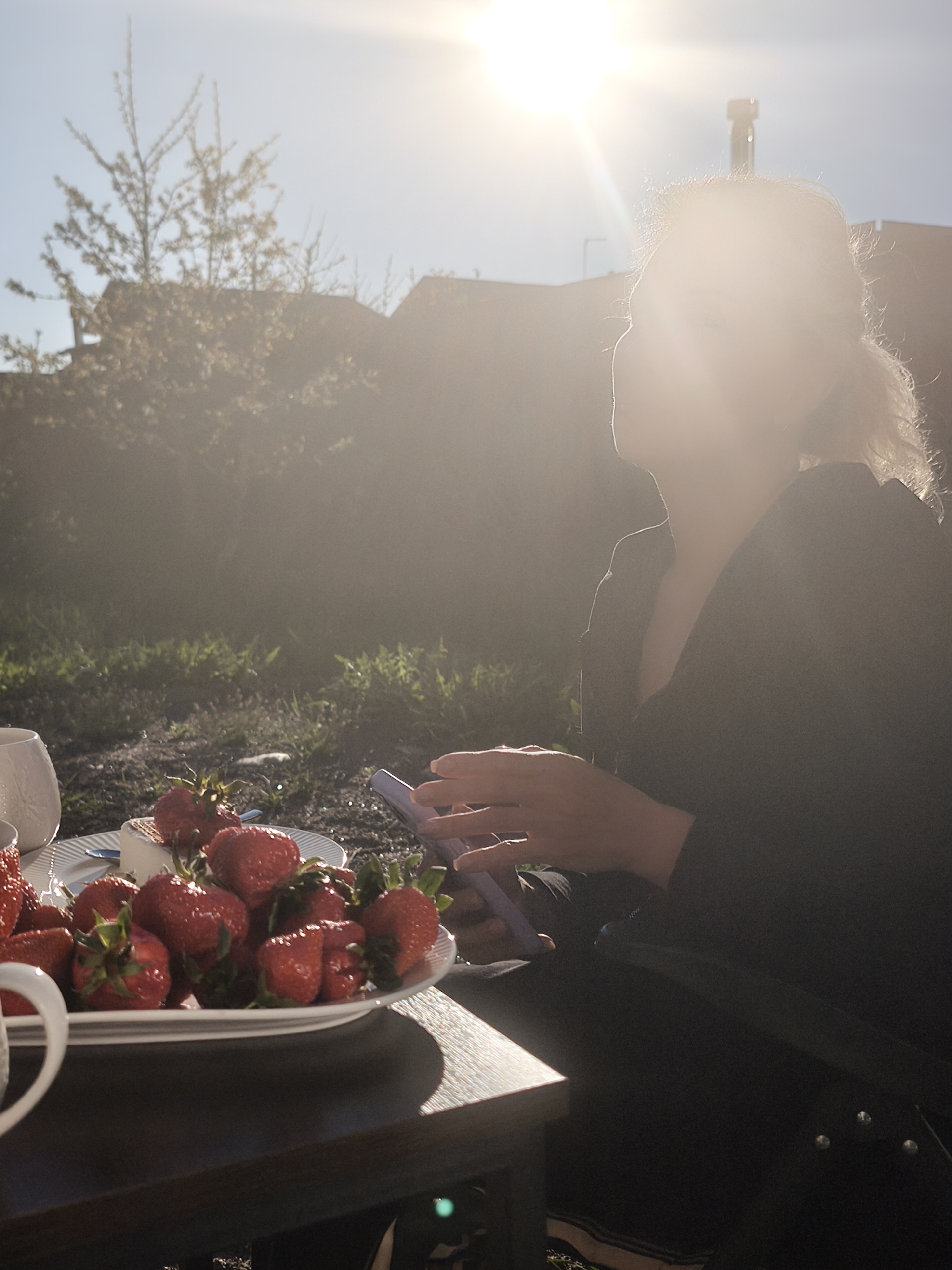 The image captures an outdoor scene, likely in the evening, with a strong backlighting effect from the sun, possibly in Steklyannyi, Russia. A woman is positioned on the right side of the frame, her features obscured by the sunlight. She is wearing a dark garment, possibly a jacket or sweater, and appears to be holding a mobile phone.
To the left, a table is visible, laden with a plate of fresh strawberries, a cup, and a piece of cheese. The strawberries are red and appear ripe. The table is dark in color, contrasting with the brightness of the strawberries.
The background features vegetation, including grass and trees, adding to the natural outdoor setting. Buildings are also visible in the background. The strong sunlight creates a hazy, ethereal effect, making details difficult to discern.