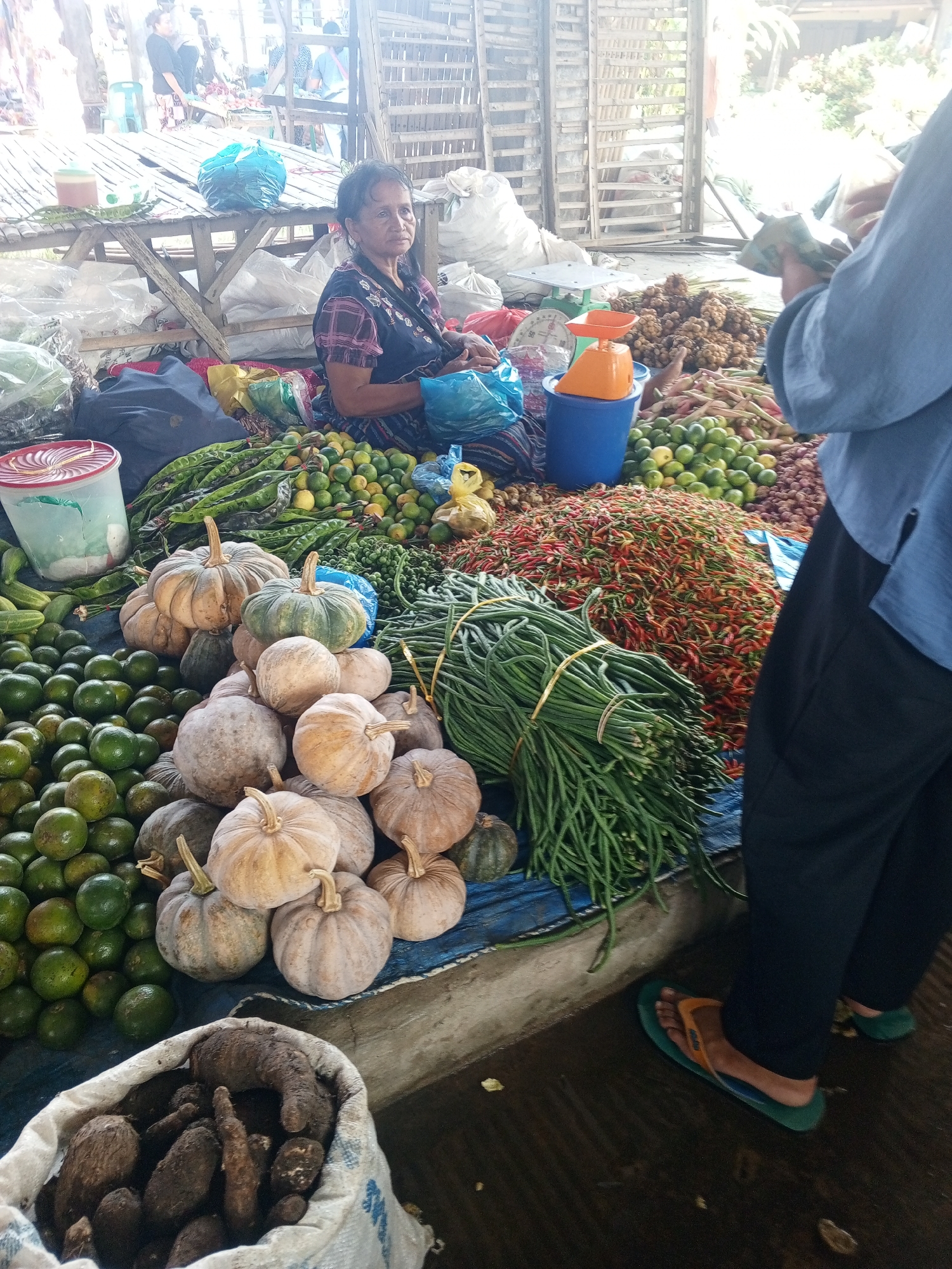 The image depicts an outdoor market stall in Talun Kenas, Indonesia, exhibiting a variety of fresh produce. A woman, likely a vendor, is seated amongst the goods. The stall features an assortment of vegetables and fruits, including pumpkins, green beans, chilies, oranges, and what appear to be root vegetables in a sack. A weighing scale is visible, suggesting commercial activity. The overall environment appears to be that of a bustling marketplace with rudimentary structures providing shade.