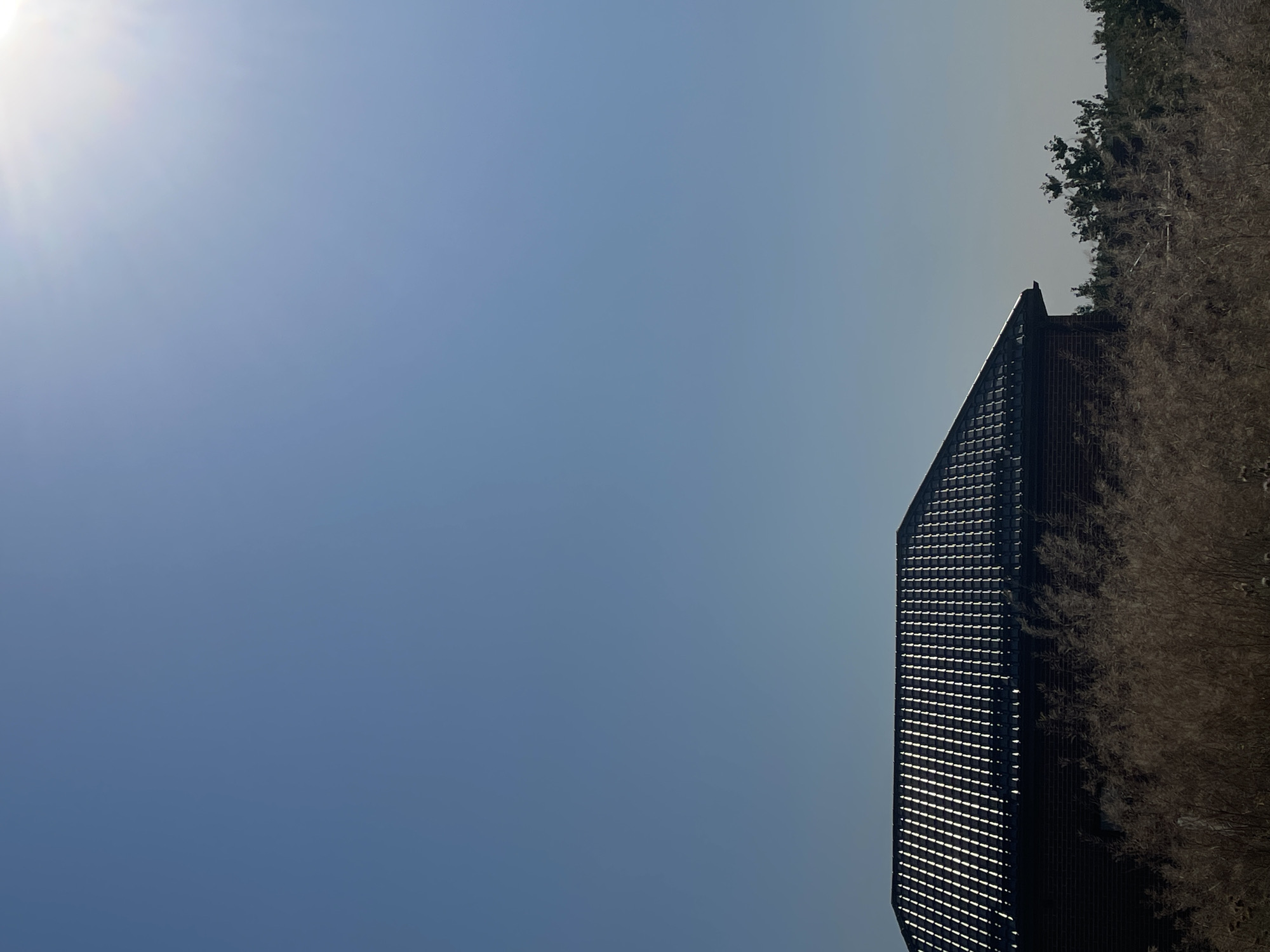 The image shows the dark tiled roof of a building, likely a house, with sunlight reflecting off the tiles. The building appears to be made of dark brick. In front of the building, there is a dense patch of dry, tall grass or reeds. Behind the building and to the right, there are several green trees. The sky is a clear, bright blue, with the sun positioned in the upper right corner, casting a glare. The scene is outdoor and appears to be a sunny day. There is no indication of the city of Rostov-on-Don, Russia in the image.