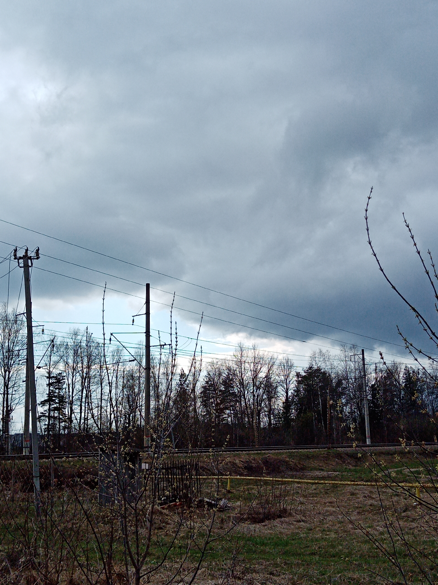 The image depicts a landscape near Kriulino, Russia, under an overcast sky with prominent gray storm clouds. A railway track runs horizontally across the middle ground of the scene, with electrical poles and overhead wires visible along the track. The foreground features overgrown vegetation and bare bushes with emerging buds, suggesting early spring. A field stretches out, with hints of green grass emerging amid dead vegetation. Beyond the railway, a dense line of trees forms a dark silhouette against the lighter band of sky peeking through the clouds. There are no visible people or animals in the frame.
