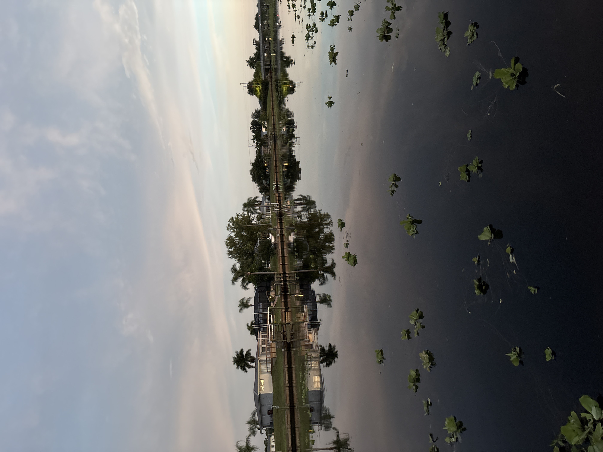 An outdoor, eye-level, vertical shot captures a serene canal at dusk in North Port, USA. The sky, a blend of soft blues and pale pinks, is adorned with wispy clouds. The still water of the canal perfectly mirrors the twilight sky and the houses lining its bank. Several houses, a dock, and palm trees are visible on the left side of the frame, their reflections appearing sharp in the water. Small green water plants dot the surface of the canal, with more concentrated clusters on the right side of the image. The overall ambiance is tranquil and peaceful, illuminated by the fading light of dusk.