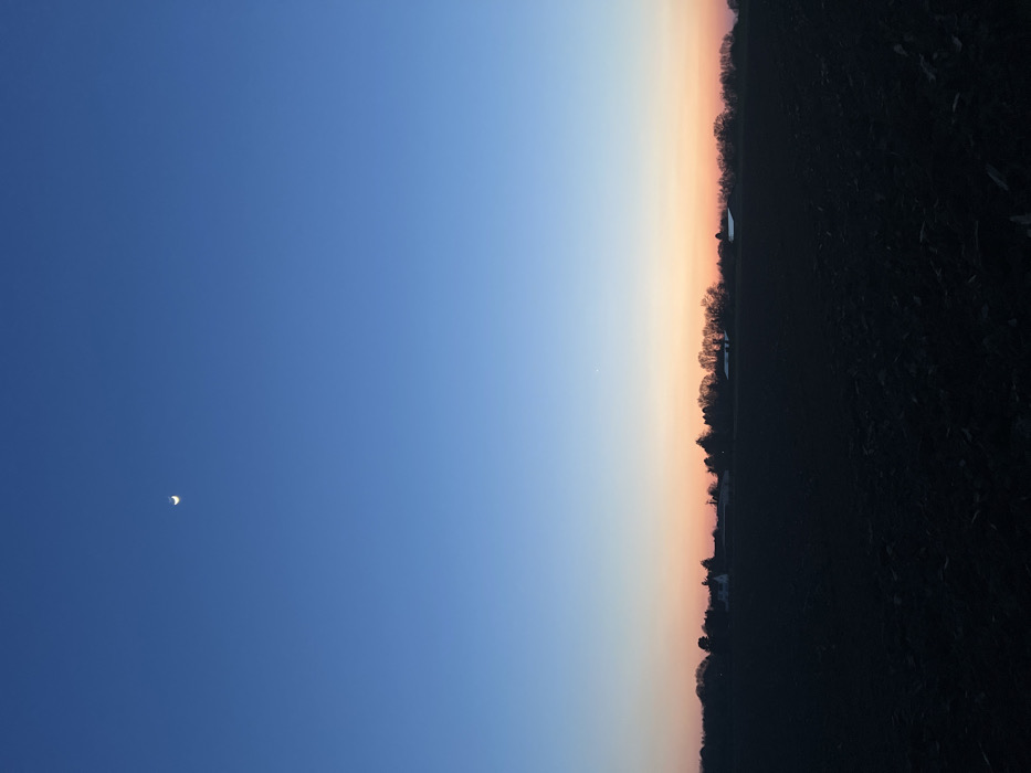 The image displays a rural landscape captured during twilight in Würselen, Germany. The sky occupies approximately two-thirds of the frame, exhibiting a color gradient from deep blue at the zenith to lighter blue, transitioning into orange and pink tones along the horizon. A slender crescent moon is visible in the upper left portion of the sky. A single, distinct luminous point, consistent with a bright star or planet, is situated above the horizon, slightly to the right of the image's vertical center. The lower third of the image depicts a dark, tilled agricultural field, showing irregular soil clumps and a rough texture. A dark, silhouetted line of trees extends across the horizon, punctuated by several indistinct structures that appear to be low-lying buildings, likely farmhouses or barns, nestled within or behind the treeline. There are no visible individuals or dynamic actions present within the scene.