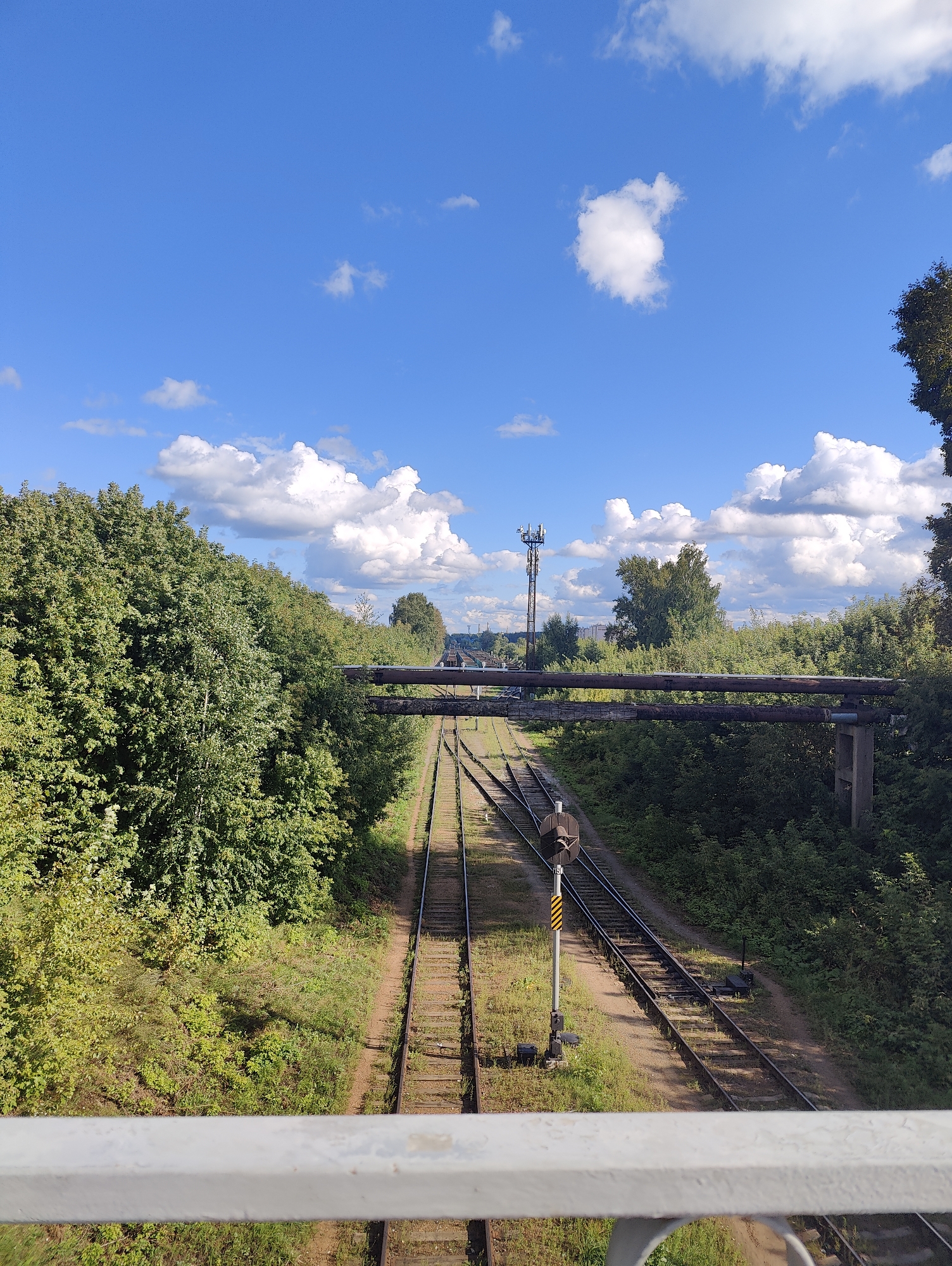 The image shows a view from a bridge overlooking a set of railroad tracks in Chaikovsky, Russia. Two parallel sets of tracks run into the distance, surrounded by lush green trees and vegetation on either side. Above the tracks, a set of large industrial pipes are suspended, supported by concrete pillars. In the background, a tall communication tower is visible, along with distant buildings and more trees. The sky is a clear blue, dotted with fluffy white clouds, suggesting a pleasant day. The foreground of the image features the railing of the bridge from which the photograph was taken.