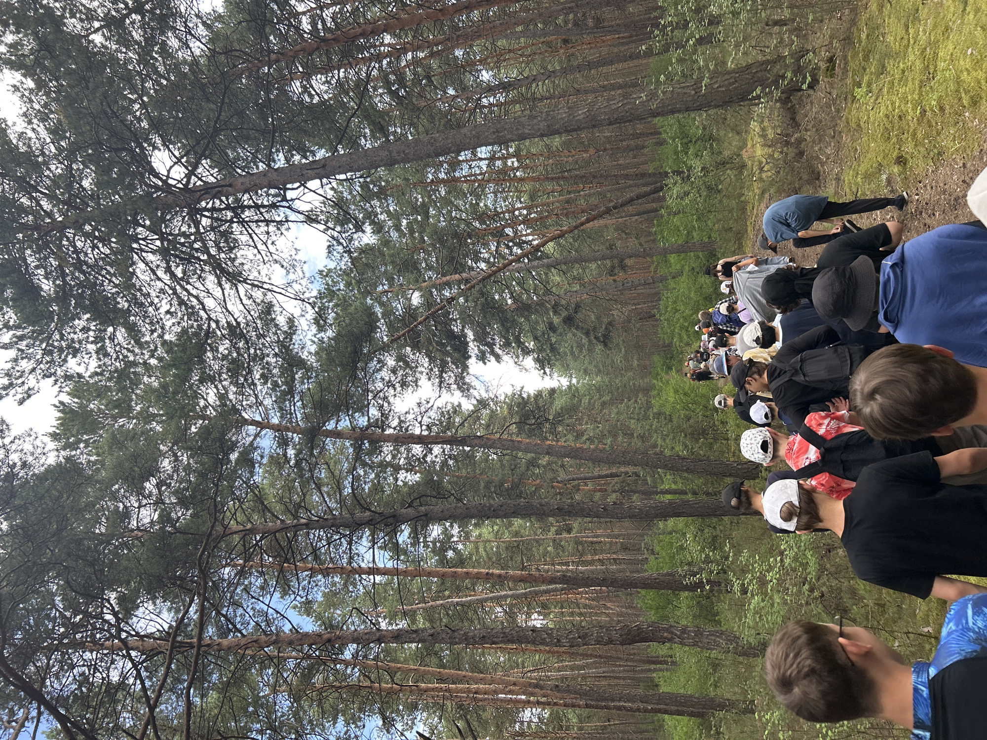 The image shows a group of people walking on a dirt path through a dense pine forest. The path is lined with moss and green foliage, and tall pine trees with rough bark tower over the scene, their branches creating a canopy that filters the sunlight. The group, composed of individuals of varying ages, is walking away from the camera, heading deeper into the forest. Most are wearing casual clothing, including t-shirts, hats, and backpacks. Some individuals are wearing baseball caps, while others have their heads bare. The atmosphere appears to be a casual outing or excursion. The location is identified as Nikolo-Petrovka, Russia.