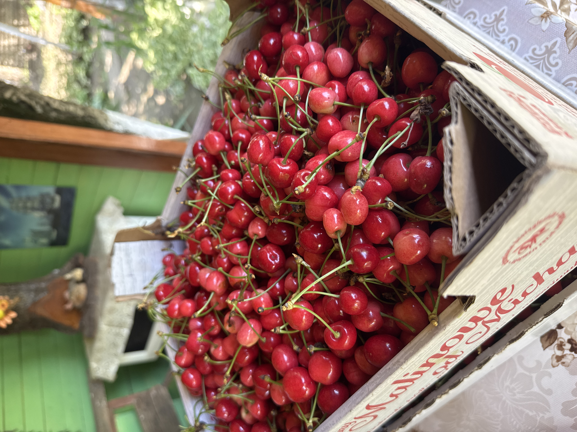 A cardboard box filled with fresh red cherries is the central focus of the image. The cherries have their stems still attached. The box is open, revealing its contents. The text "Malinowe Micha" is visible on the side of the box. The background shows a partly visible green wall, wooden elements, and a table covered with a patterned tablecloth. The location, Butan, Bulgaria, is inferred from the information given. No people or interactions are visible.