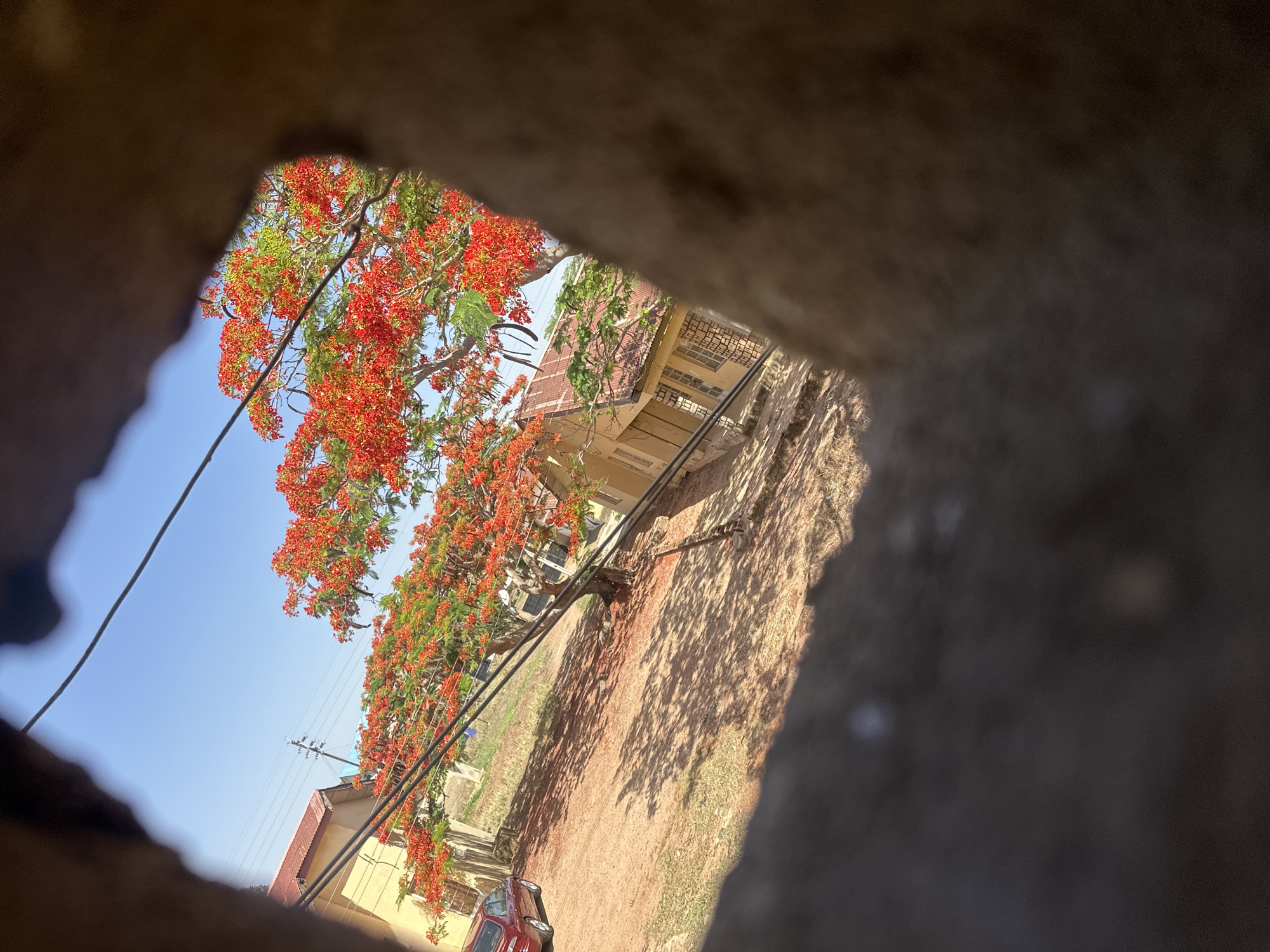 The image shows a view through a rough, rectangular opening in a grey or brown structure, possibly a wall. Through the opening, a tree with bright red flowers is visible against a clear blue sky. A building with a tan or yellow facade and a red tile roof is partially visible behind the tree. Power lines run across the view. The ground is brown, possibly dirt or soil, and there is a red car parked near a building in the lower portion of the view. The image is taken from a low angle. The scene appears to be located in Gura Top, Nigeria.