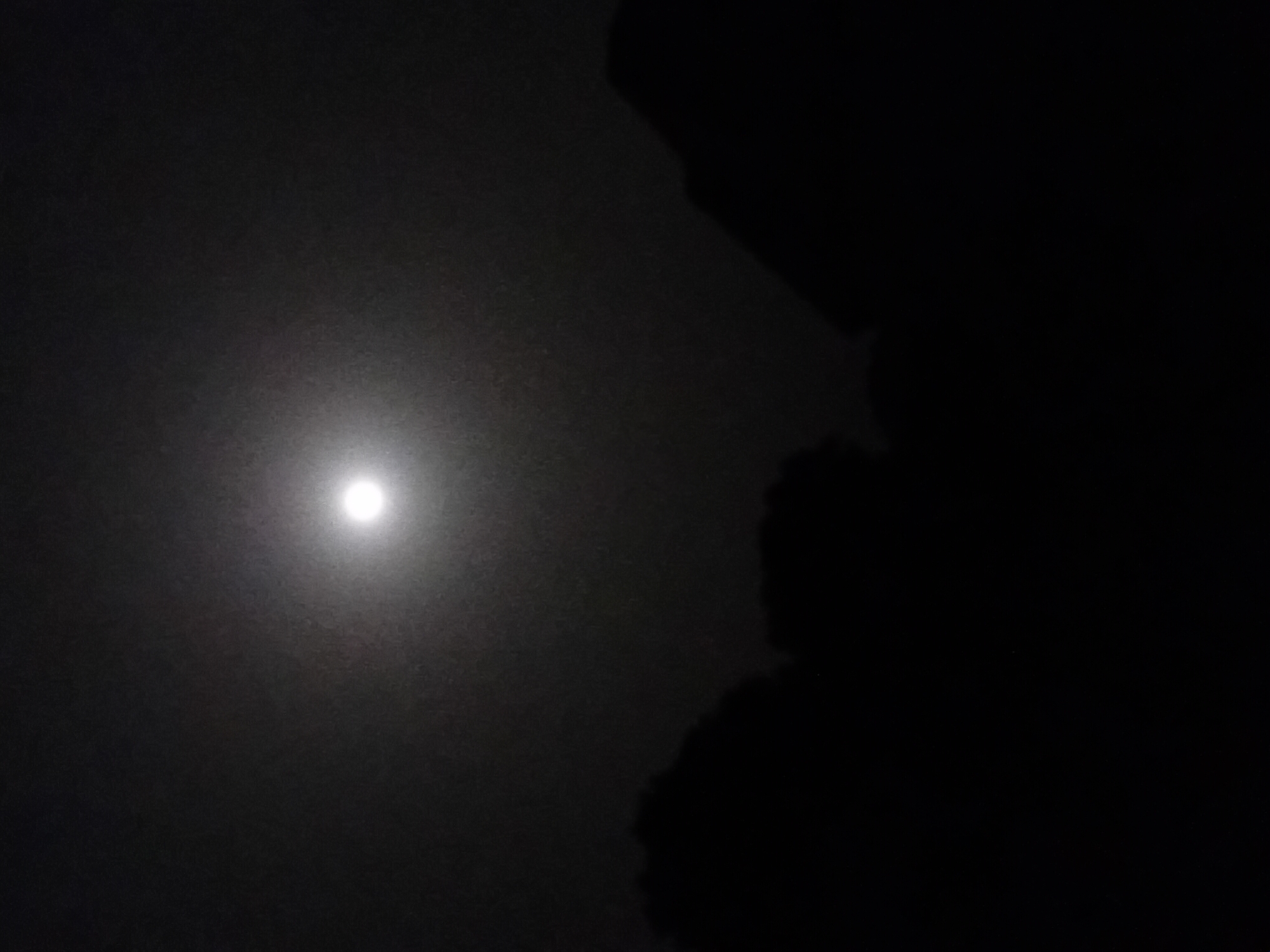 The image shows a night scene in Nata-Ala, Nigeria. A bright, circular light source (likely the moon) is visible in the upper left quadrant of the frame. The rest of the sky appears dark and indistinct. Dominating the right side of the image is a large, dark, blurry silhouette, possibly of a building or trees.