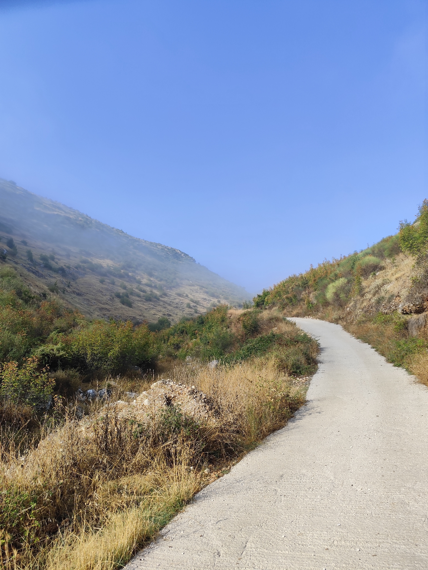 The image depicts a winding, paved road cutting through a hilly, vegetated landscape under a clear, pale blue sky. The road occupies the foreground and midground, curving to the right and disappearing into the distance. The surrounding terrain is characterized by dry, golden grasses and green shrubs and trees, with patches of rocky soil visible. In the background, a mountainside rises, partially obscured by a layer of white fog or mist that clings to its slopes. The overall impression is one of a remote, natural setting. This scene is located in Dropull i Sipërm, Albania.