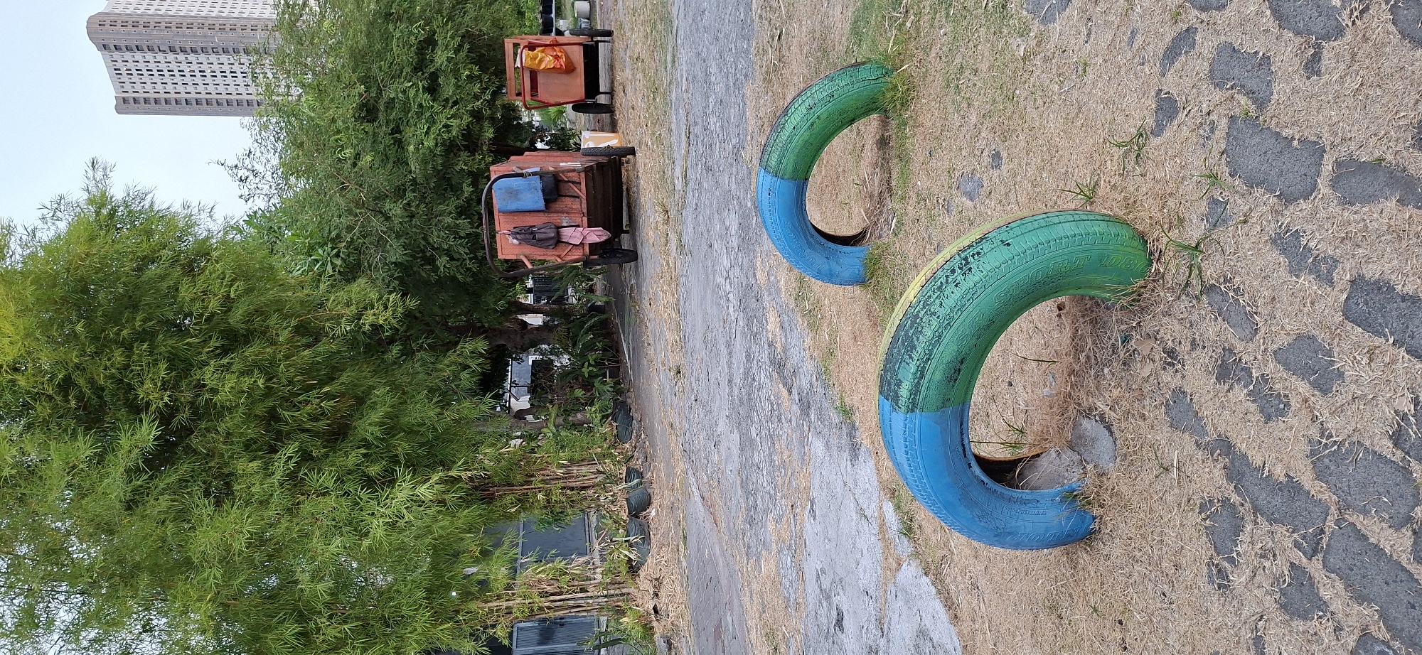 In a city park in Surabaya, Indonesia, a concrete pathway is partially covered by dry grass. Two large, brightly colored tires, painted blue and green, are positioned in the grass, forming half-circles. In the background, two orange carts with wheels are parked near a cluster of bamboo trees. A tall, modern building looms in the distance. The scene appears to be a public outdoor space with elements of both nature and urban development.