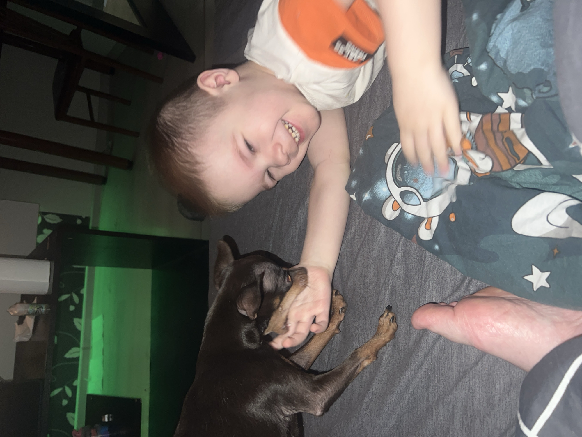 A young child wearing a white shirt with an orange design lies on a grey surface, possibly a bed, alongside a dark brown miniature pinscher dog. The child is smiling and appears to be interacting with the dog. The dog is positioned near the child's hand, possibly nibbling or playing with it. Part of an adult's foot is visible at the edge of the frame. A patterned blanket covers part of the surface. In the background, there's a dark wooden chair and a shelf or cabinet with a green light. It is not possible to determine if the image was taken in Chaikovsky, Russia.