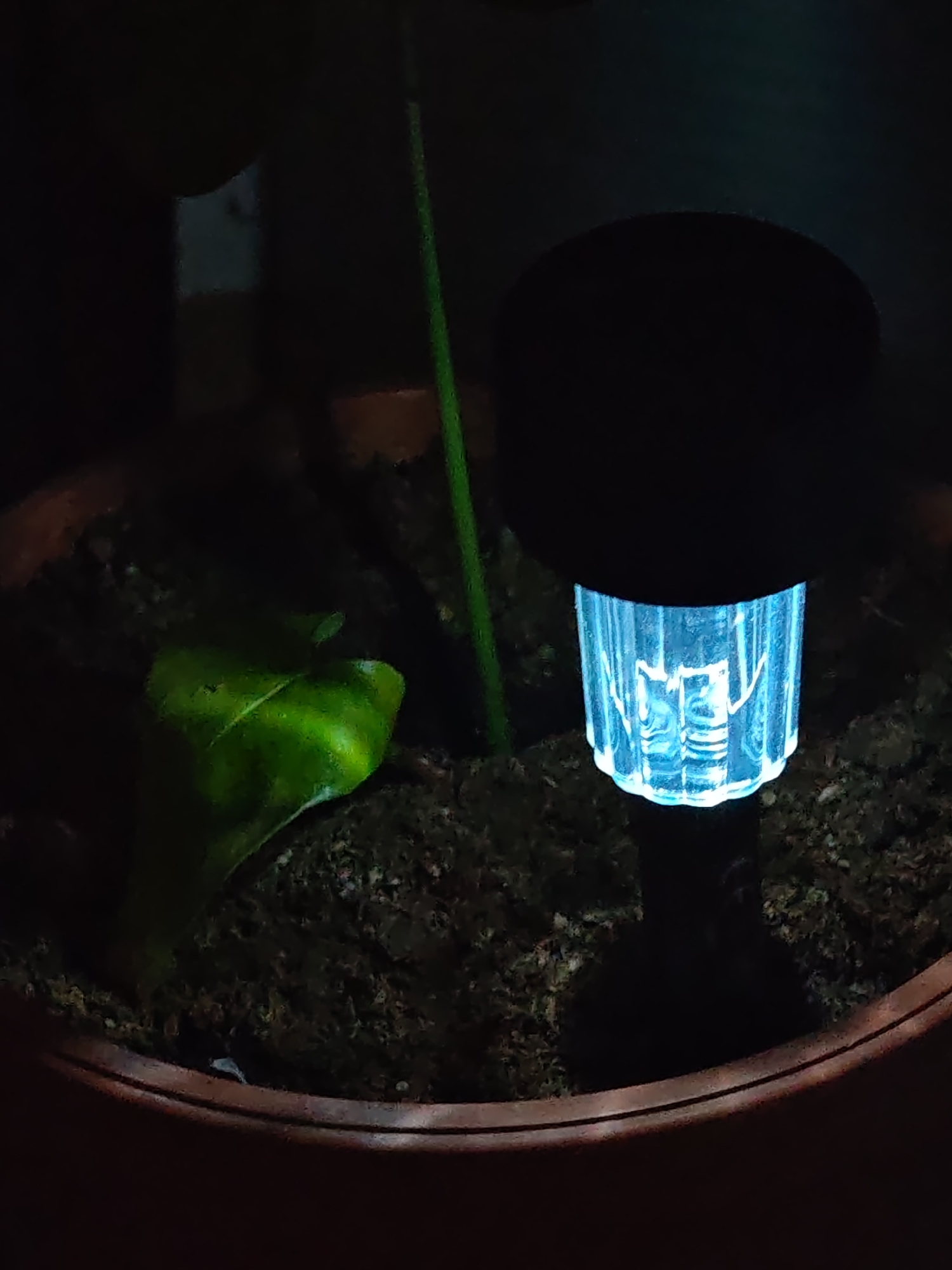 This image, captured in Shumen, Bulgaria, depicts a dimly lit scene within a plant pot. A single green plant leaf, partially curled, is visible on the left side of the pot, resting on dark brown soil. To its right, a thin, straight green stake or stem extends vertically upwards from the soil. On the right side of the pot, a black solar garden light is embedded in the soil. Its base is a translucent, ribbed cylinder emitting a bright blue light, which illuminates the immediate surrounding soil. The top of the light is a solid black, circular disk. The pot itself is reddish-brown with a visible rim, and the background is largely obscured by darkness.