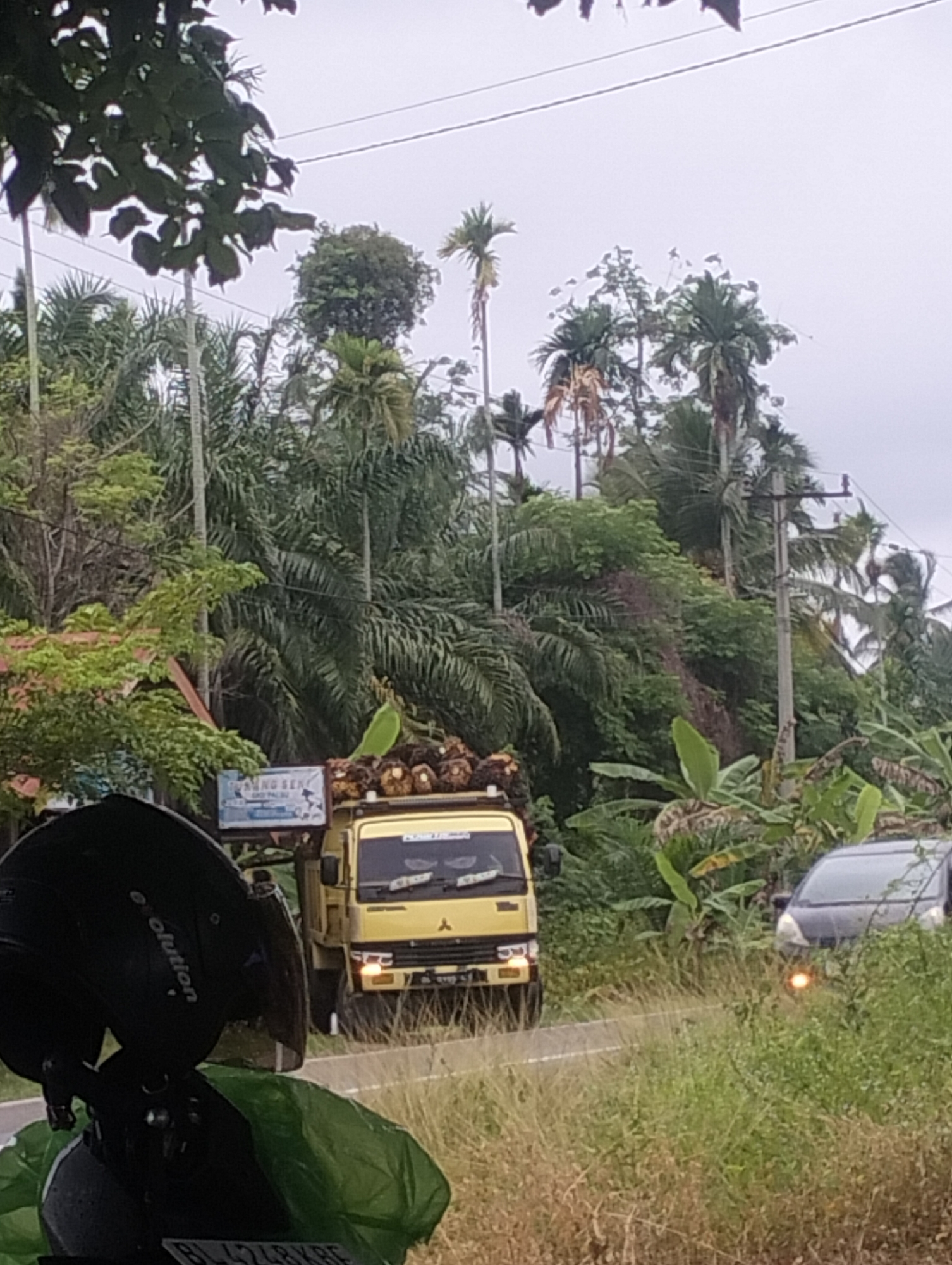 A yellow truck is driving down a road in Teupinreusep, Indonesia. The truck is carrying a load of palm oil fruits. The road is surrounded by lush greenery, with palm trees and other tropical vegetation. A black car is parked on the side of the road, and a motorcycle helmet is visible in the foreground. The sky is overcast, suggesting it might rain.