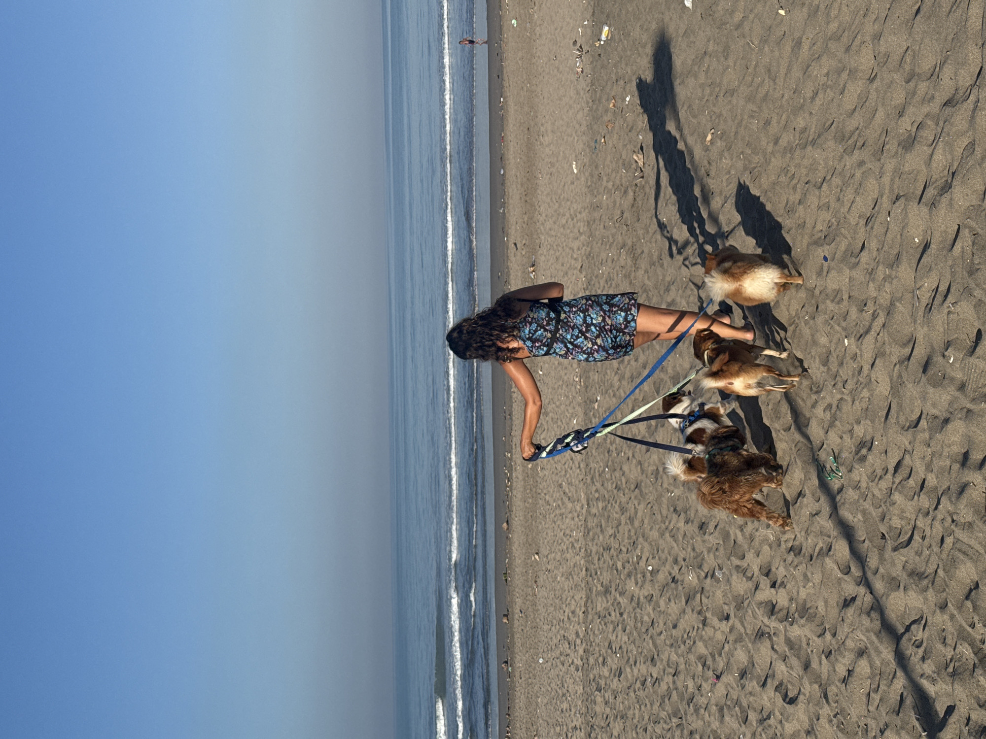 A woman walks four dogs on a leash on a sandy beach in North Kuta, Indonesia. The woman is wearing a floral-print dress. The dogs vary in color and size. The beach slopes down to the ocean with small waves. The sky is a clear blue. Debris litters the sand. A person is standing in the water in the distance. The shadows of the woman and dogs are visible on the sand.