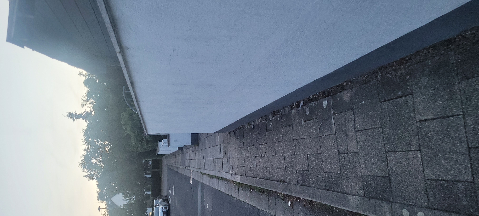 This image depicts a static street scene in Heusenstamm, Germany, observed from a low angle looking down a sidewalk. The foreground features a grey paved sidewalk composed of rectangular concrete pavers laid in a staggered pattern, showing signs of wear and minor ground-in debris in the cracks. To the left, a concrete curb separates the sidewalk from an asphalt road, where a white painted "30" speed limit marking is visible. Further down the road, two light-colored cars are parked on the left side.
On the right side of the image, a tall, white-painted stucco or textured wall extends into the distance. The lower section of this wall has a dark grey trim. A narrow strip of disturbed earth and debris lies between the sidewalk and the wall. Further along the wall, smaller white structures, possibly sections of a fence or additional walls, are visible, with a curved metal railing positioned behind one.
The background is dominated by a dense canopy of green trees and bushes, appearing somewhat hazy. Above the general tree line, a distinct, tall, and slender conifer tree stands out against the sky. Portions of buildings are partially visible behind the foliage; a structure with a dark, sloped roofline is discernible on the far right, and a white building is visible further left behind the trees. The sky is a uniform, light pale grey, suggesting an overcast condition or soft lighting characteristic of dawn or dusk. No people or animals are present in the scene, and no overt actions or interactions are depicted.