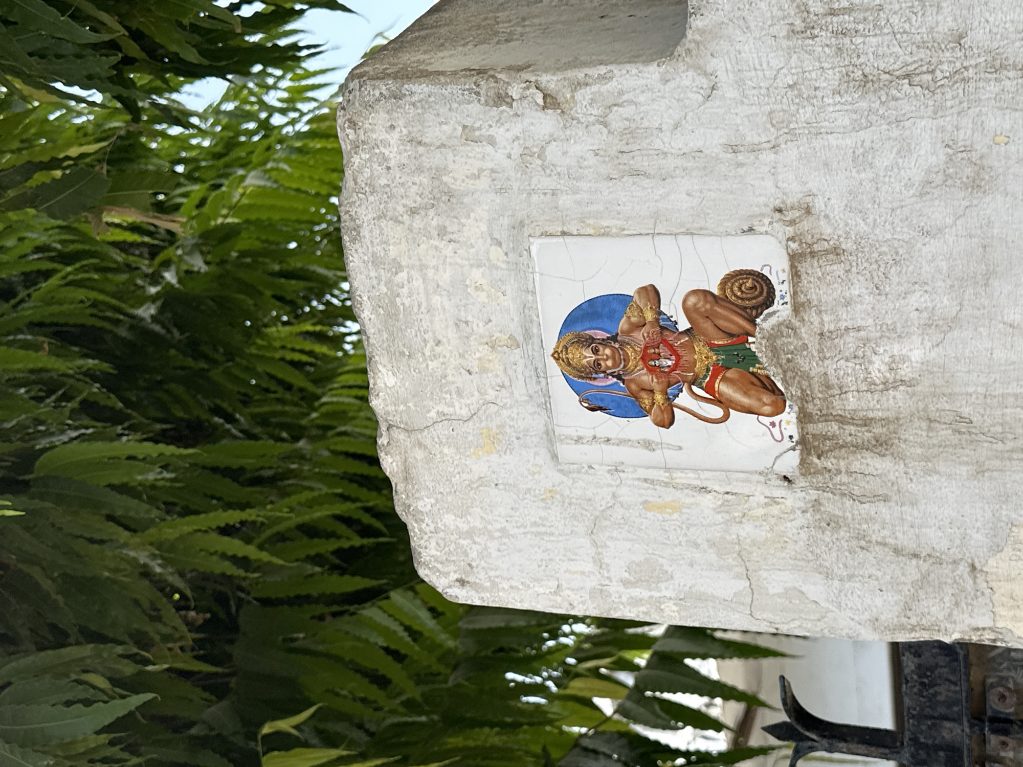 The image depicts a weathered, rectangular concrete structure, possibly a pillar or support, on which a ceramic tile depicting a deity is affixed. The tile is rectangular and features a depiction of Hanuman. The background of the tile is a blue circle and the cracks in the tile suggest its age and exposure to the elements.
The concrete structure itself shows signs of age and wear, with cracks and uneven surfaces. It is situated outdoors, as evidenced by the lush green foliage visible in the background. The leaves suggest the presence of trees or bushes, contributing to the outdoor environment.
The photograph was taken in Mathura, India.