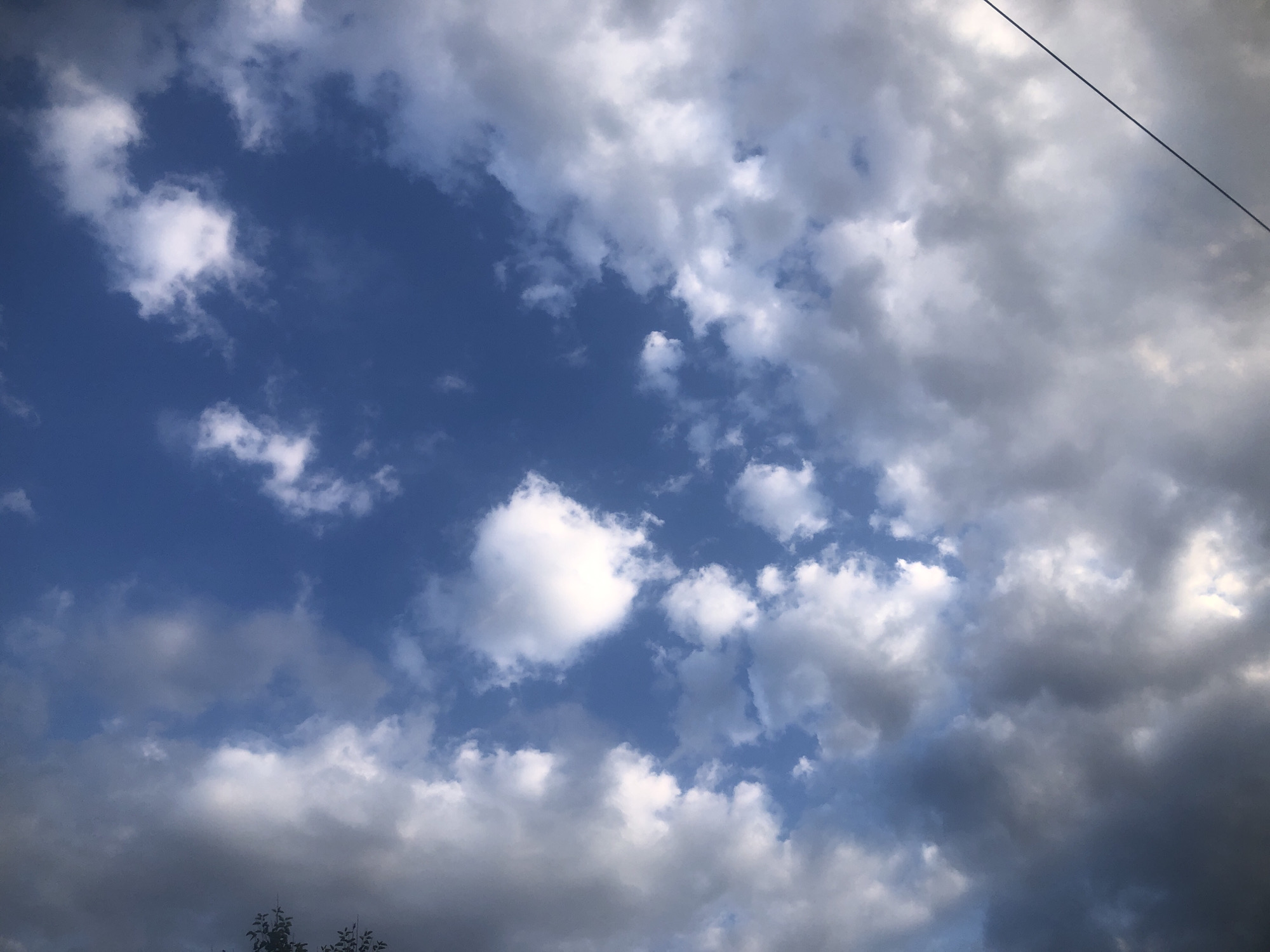 An upward shot of a bright blue sky filled with scattered white and gray clouds. The clouds are of varying sizes and densities, with some appearing wispy and others more solid and voluminous. The sunlight filters through, creating highlights and shadows on the cloud formations. In the lower right corner, a thin black wire stretches diagonally across the frame. In the upper left corner, the dark silhouette of tree branches is partially visible against the sky. The scene is devoid of people or any other discernible objects or structures.